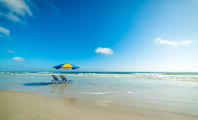 <p>Daytona is among the many, many wonderful beaches you’ll find across Florida </p>