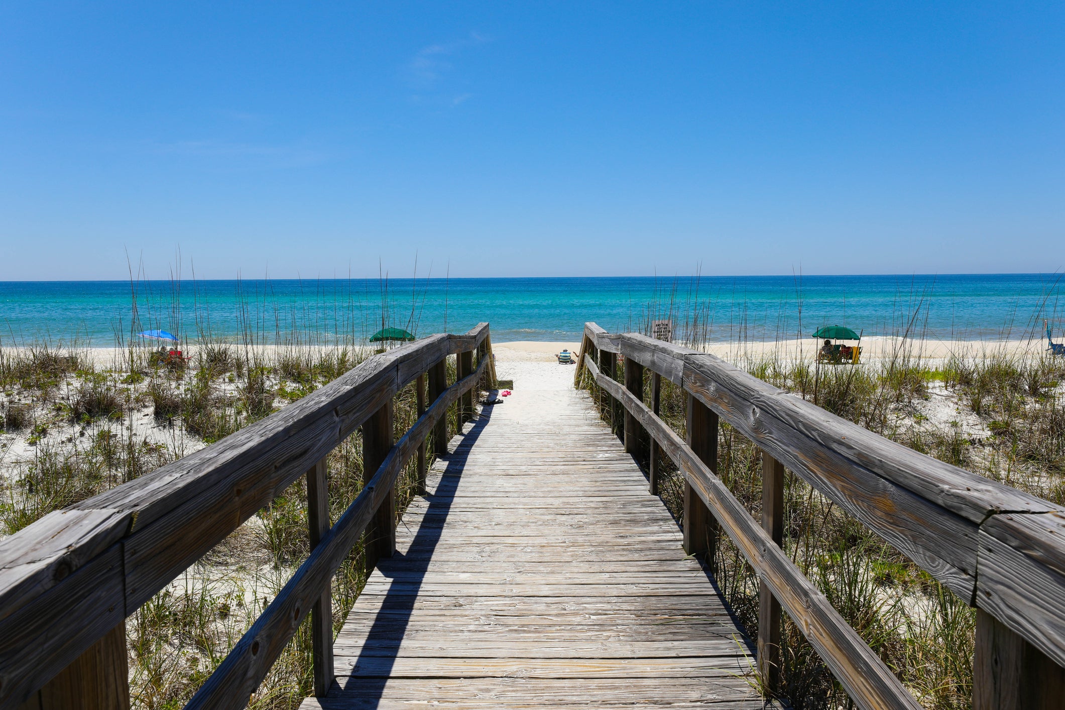 There’s almost 2,000 metres of shoreline within Henderson Beach State Park