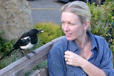 Poet Frieda Hughes explains why George the magpie was so special to her