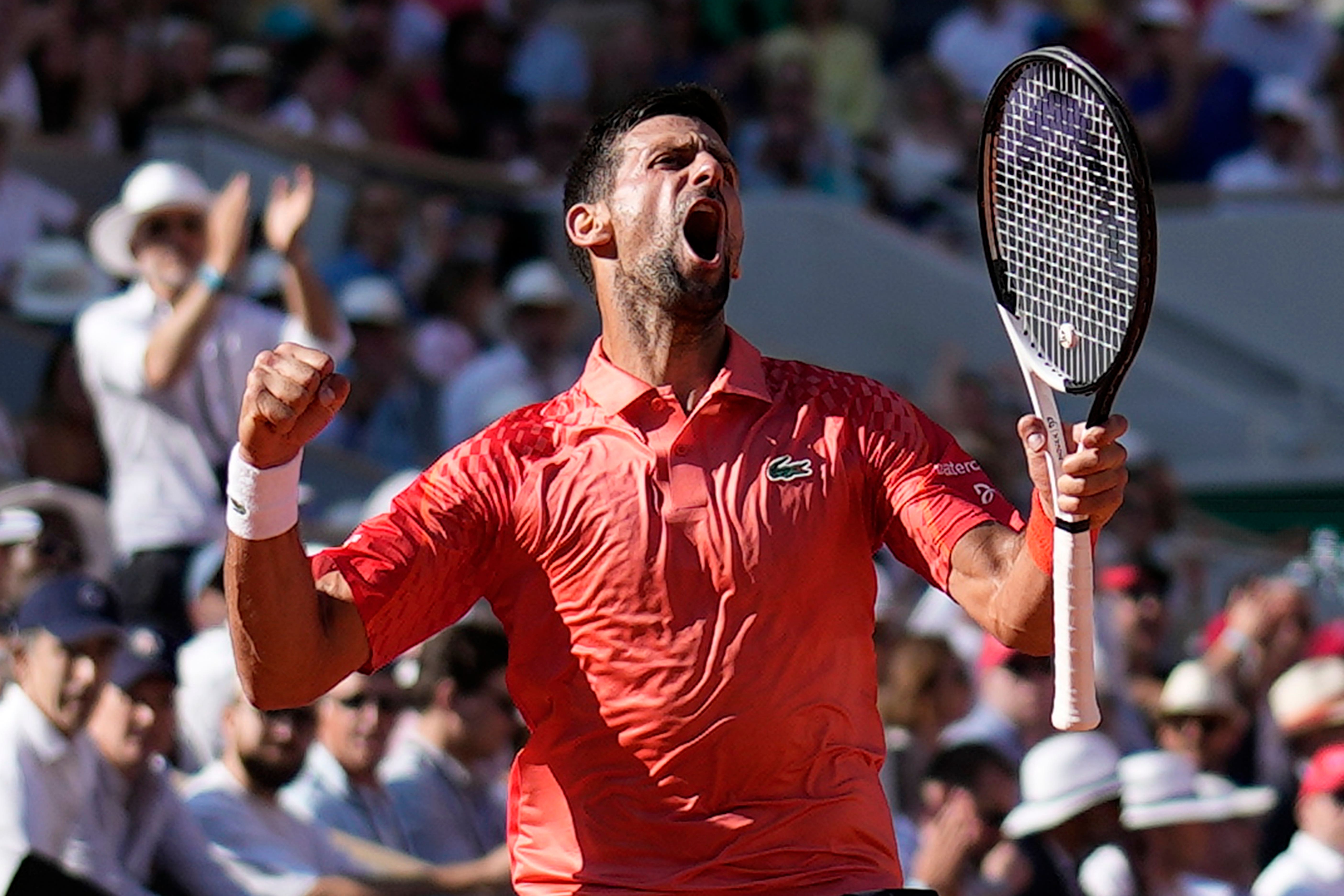 Novak Djokovic won in Paris (Christophe Ena/AP)