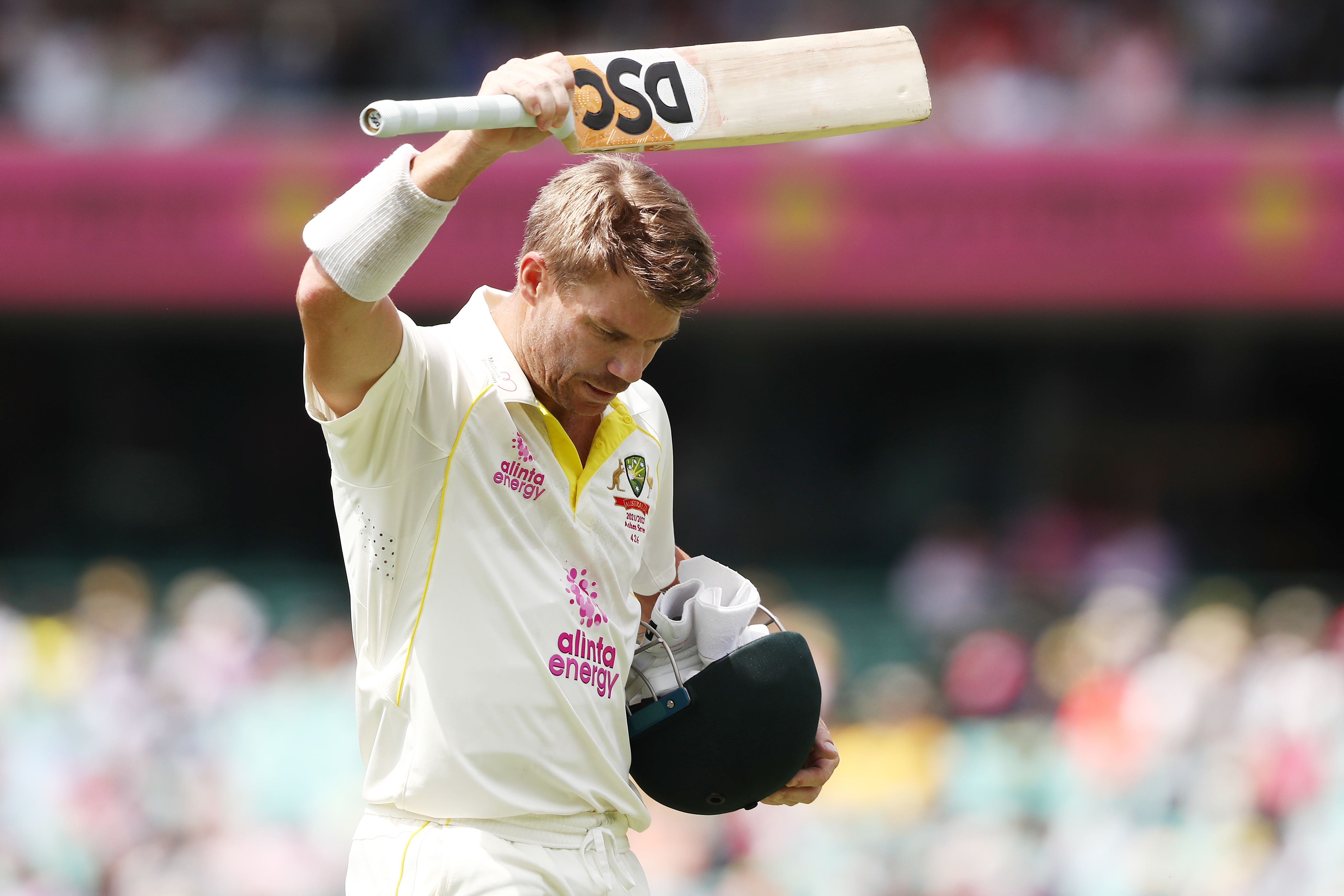 David Warner has eyes set on test retirement ahead of WTC final and Ashes series (Jason O’Brien/PA)