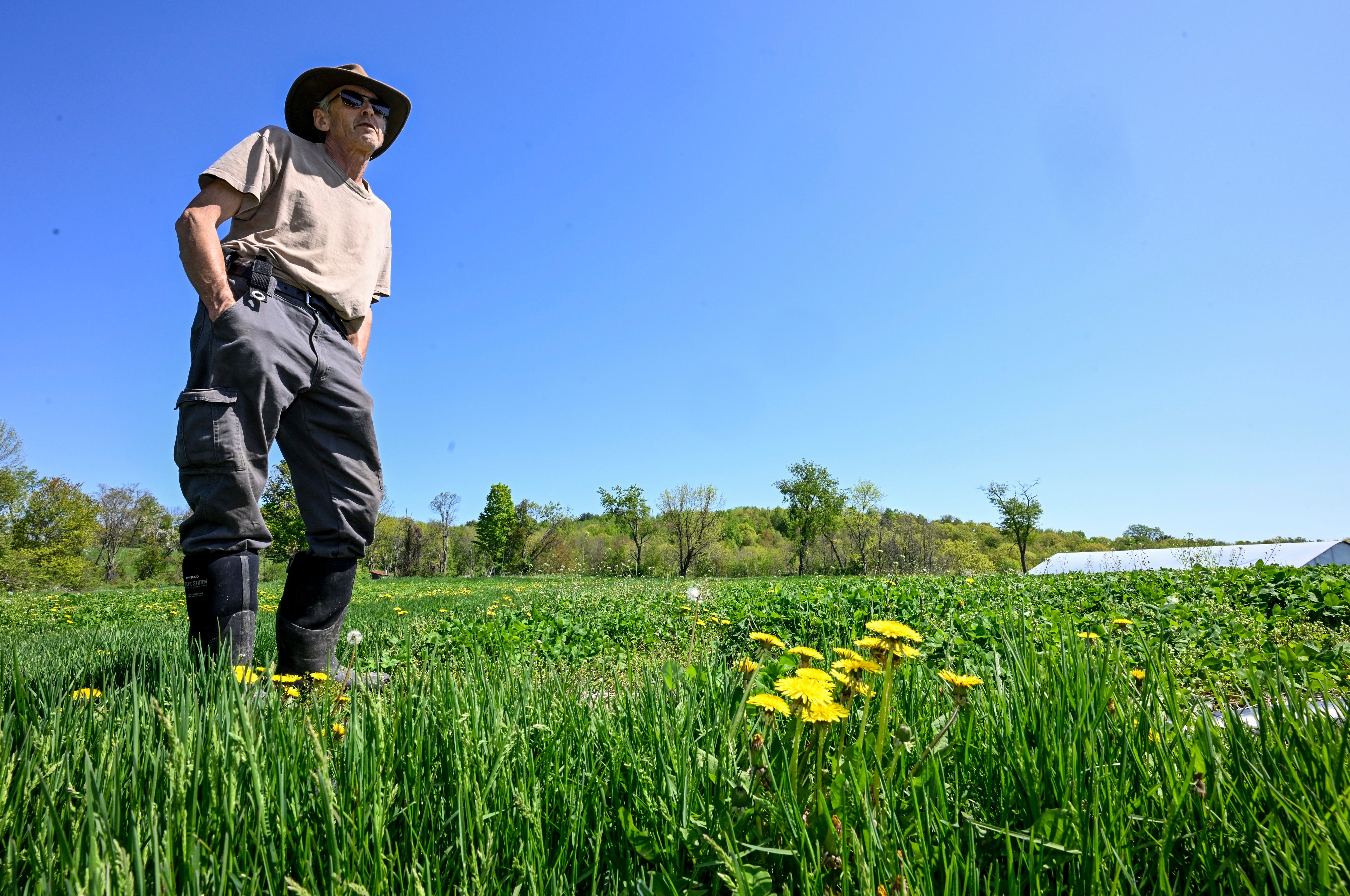 Marijuana Unsold Harvest