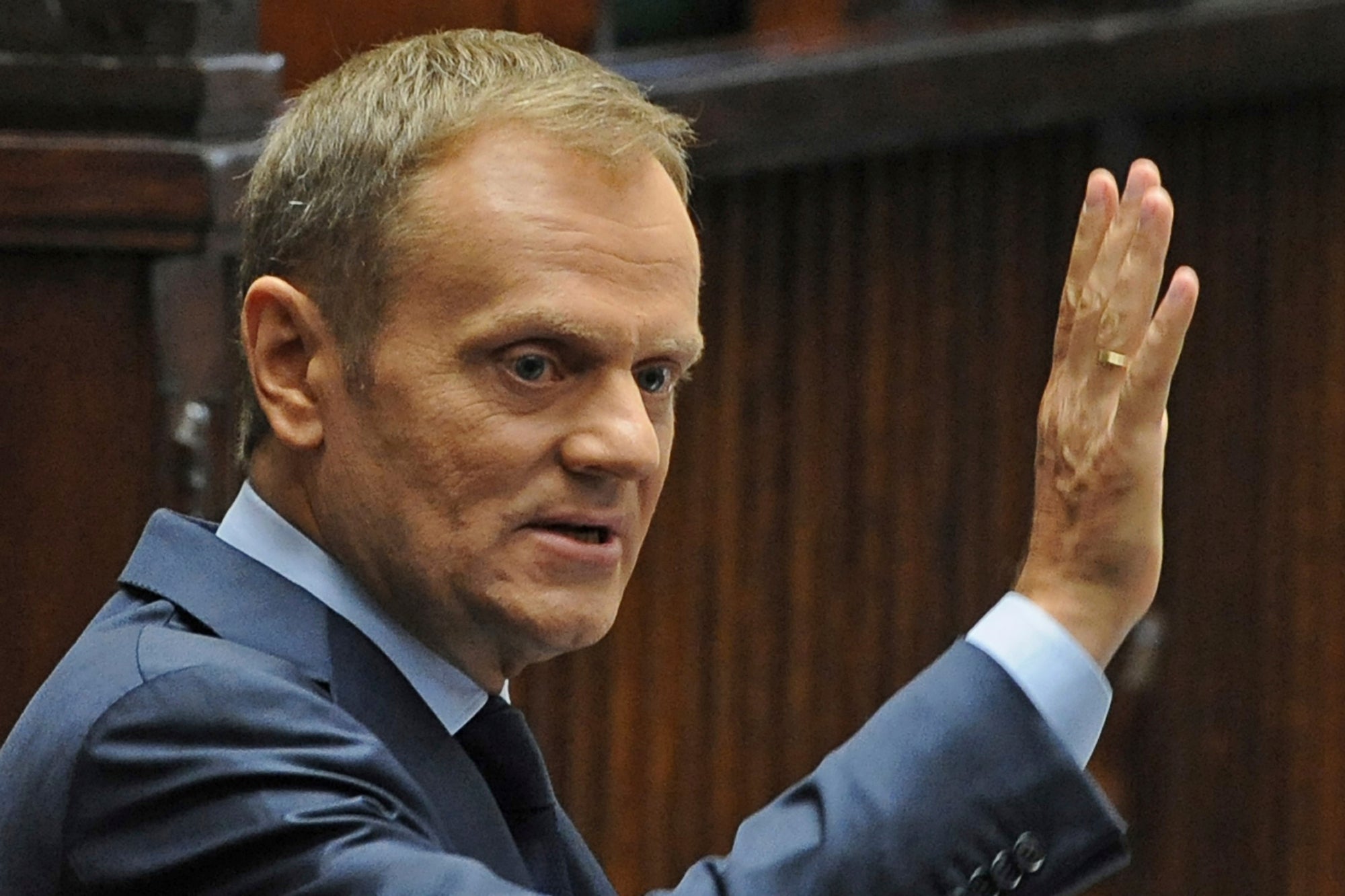 Poland Democracy March