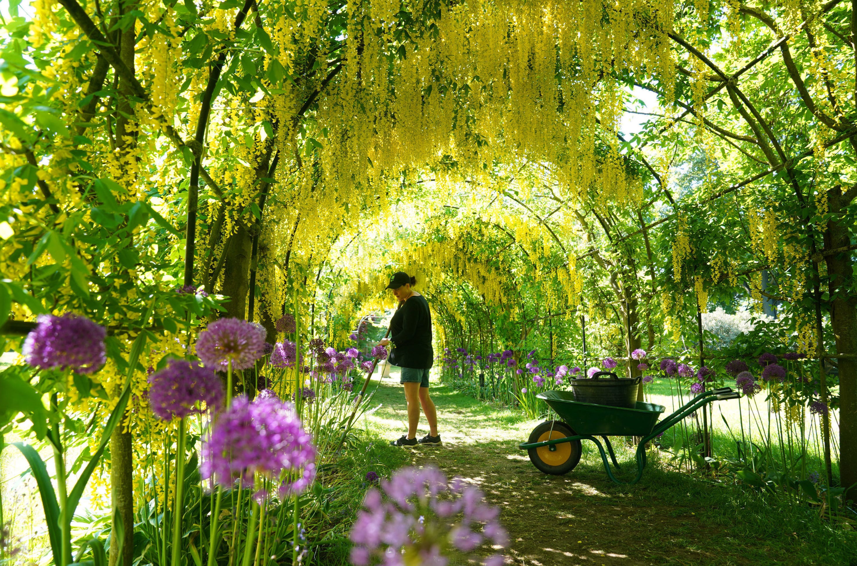 Britons are set to bathe in scorching weather this weekend as a ‘plume of warm air’ comes in from the south