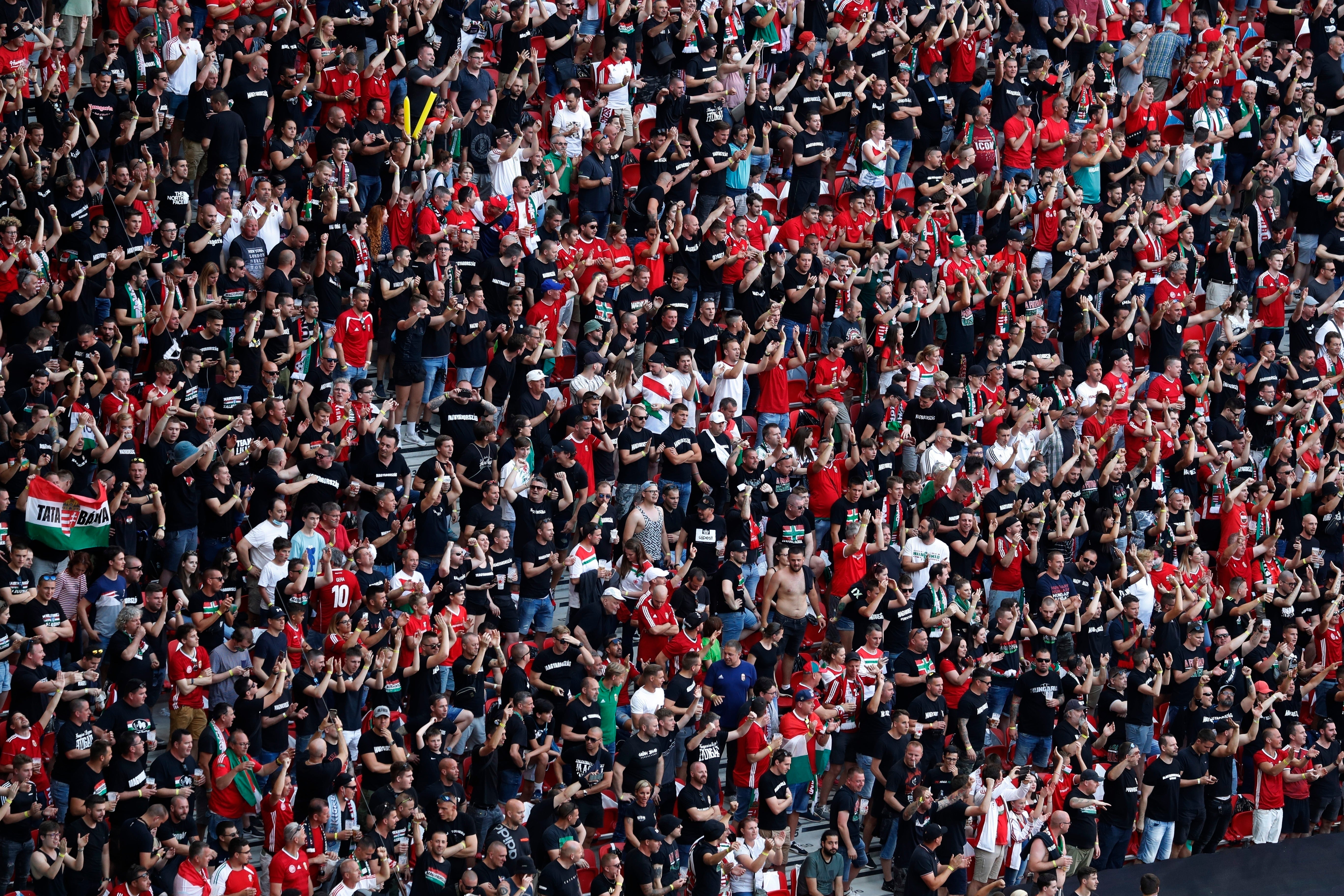 Soccer Racism Undercover Observer