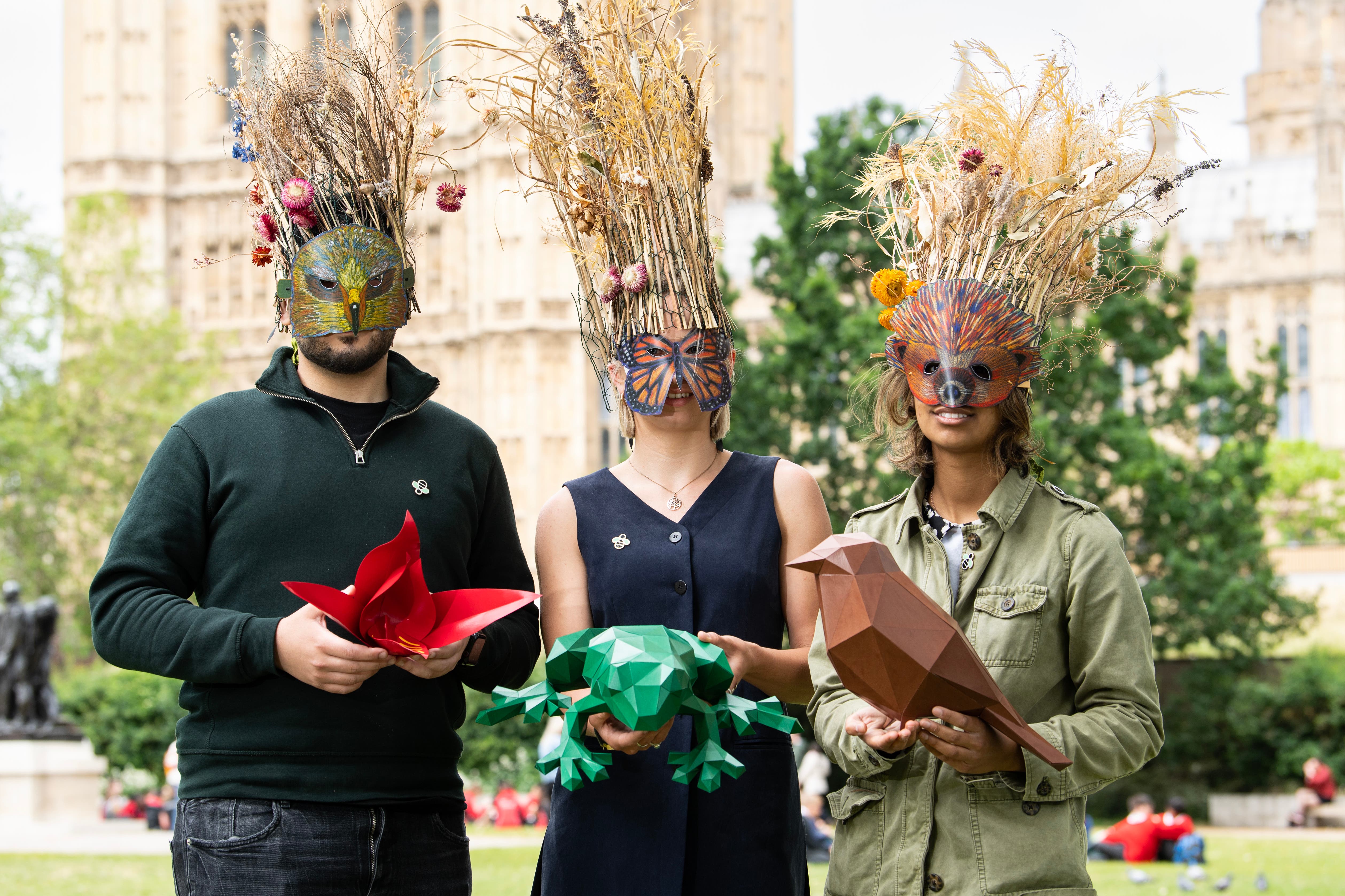 As well as handing over a petition, campaigners are sending origami models of at-risk species to MPs (Doug Peters/PA)