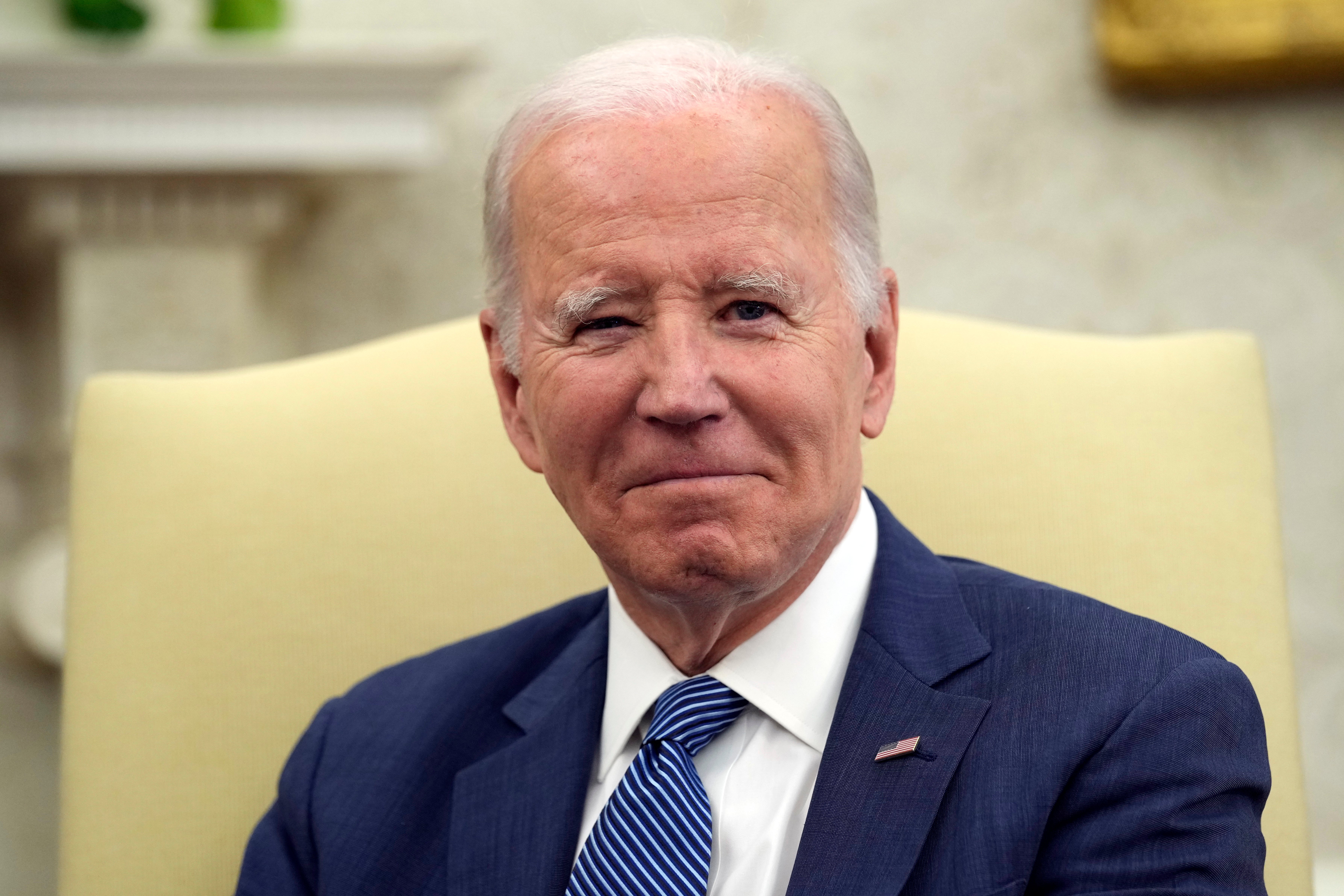 Biden US Denmark