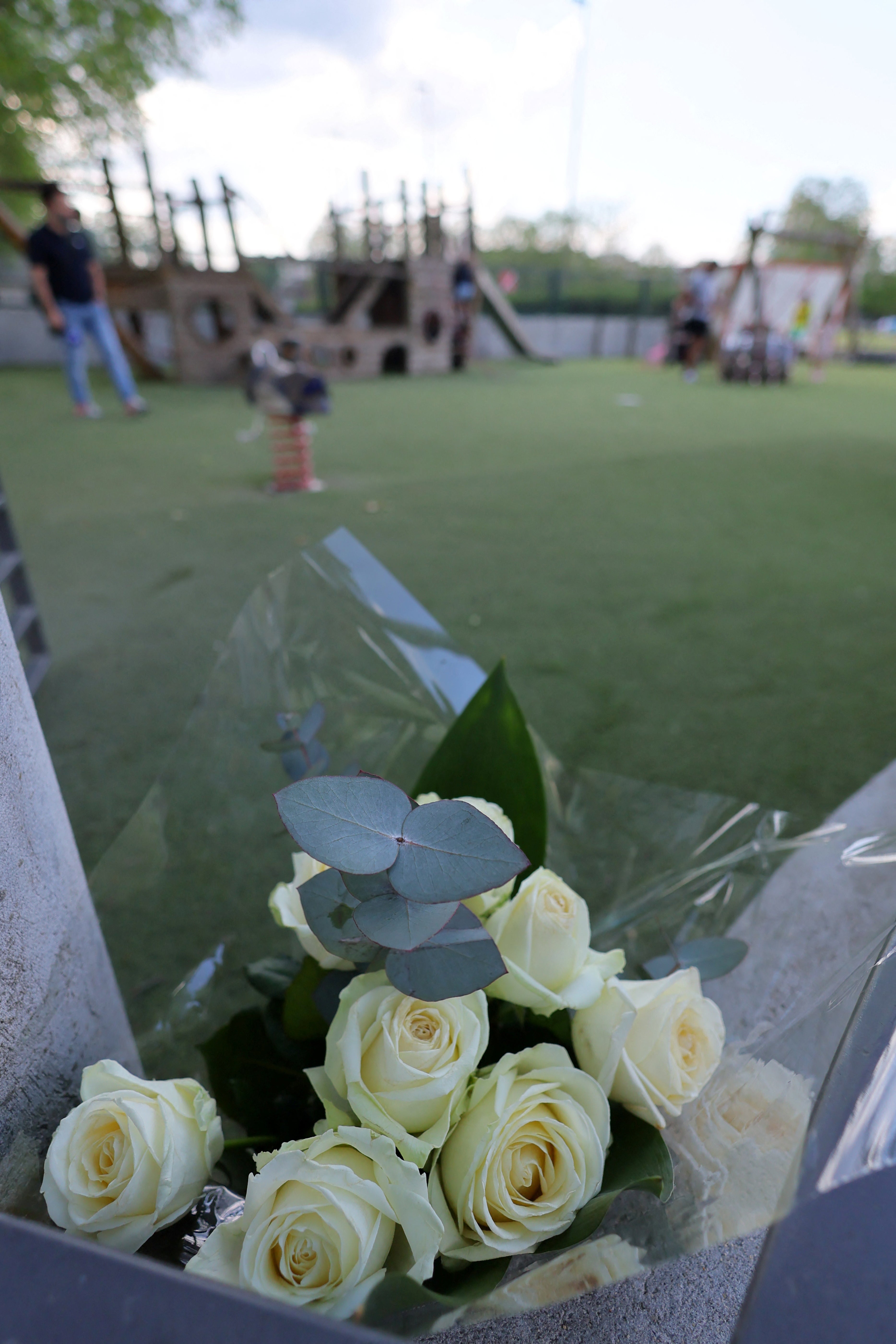 White roses are pictured at the children's playground