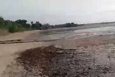 Graveyard of dead fish forms in southern Ukraine after Kakhovka dam destruction