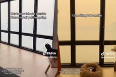 Woman shares ‘insane’ glimpse at wildfire smoke from NYC apartment