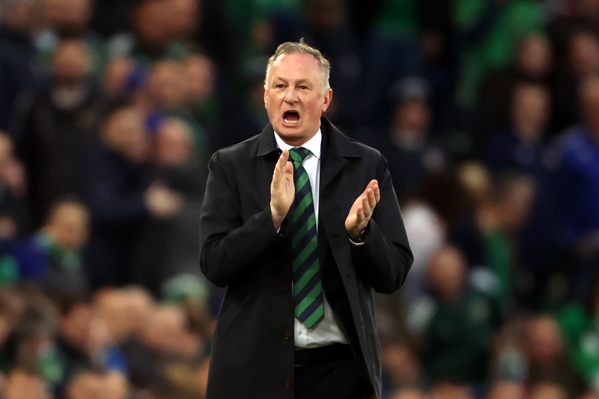 Michael O’Neill said Northern Ireland still have “everything to play for” as injuries hurt their qualification chances (Liam McBurney/PA)