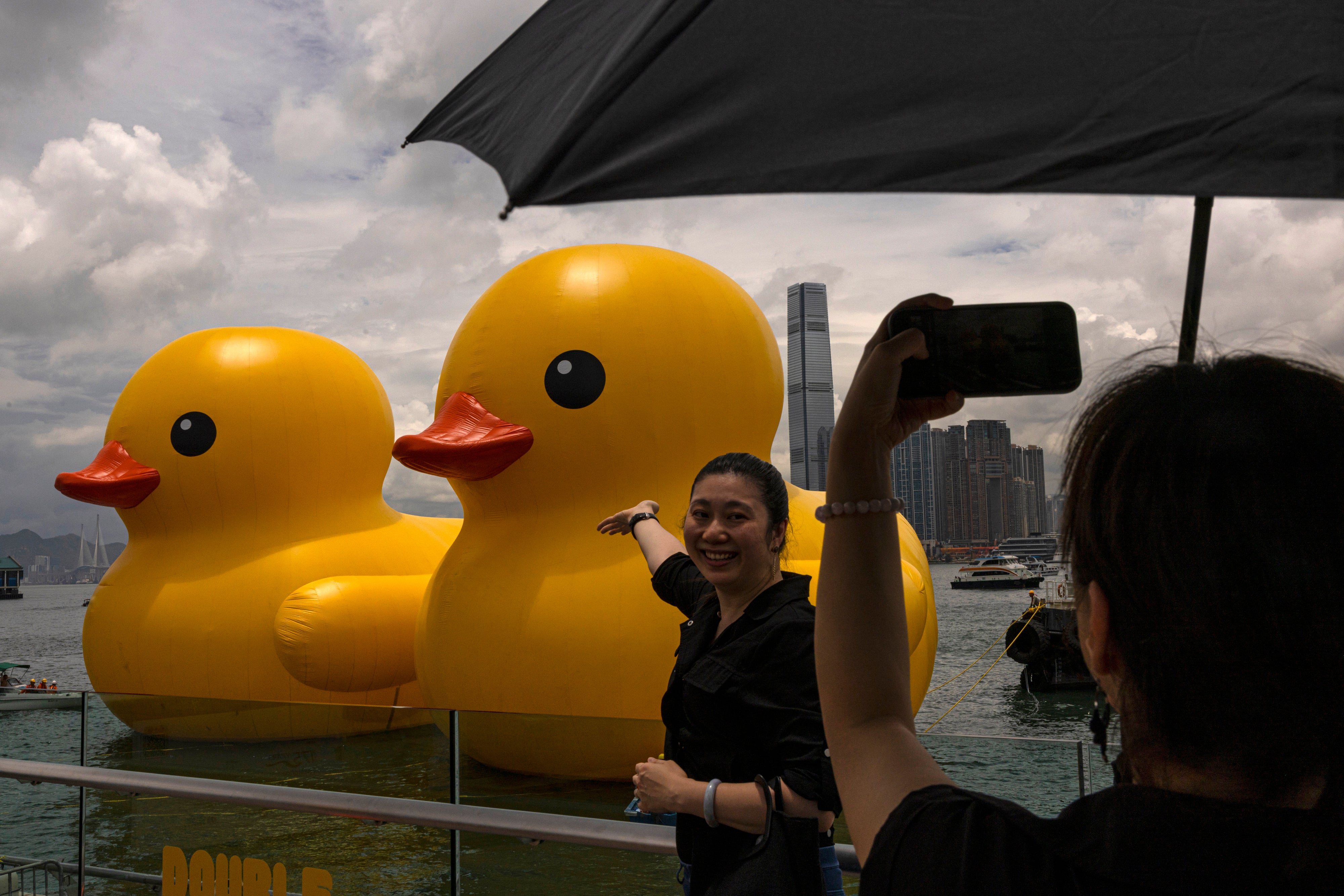 Hong Kong Giant Ducks