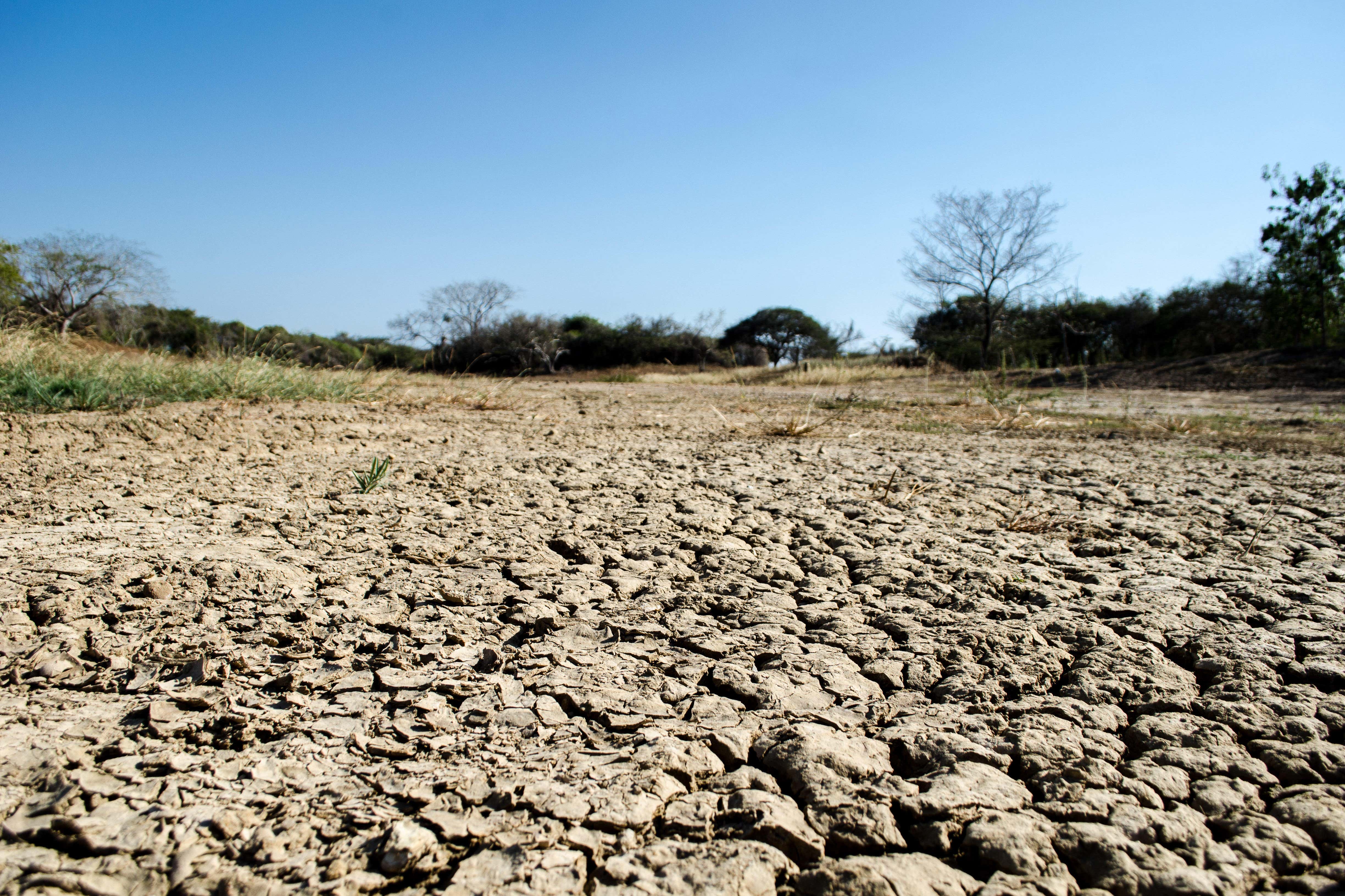 The name El Nino is widely used to describe the warming of sea surface temperature that occurs every few years (Alamy/PA)