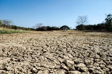 What is El Nino and what impact might it have?