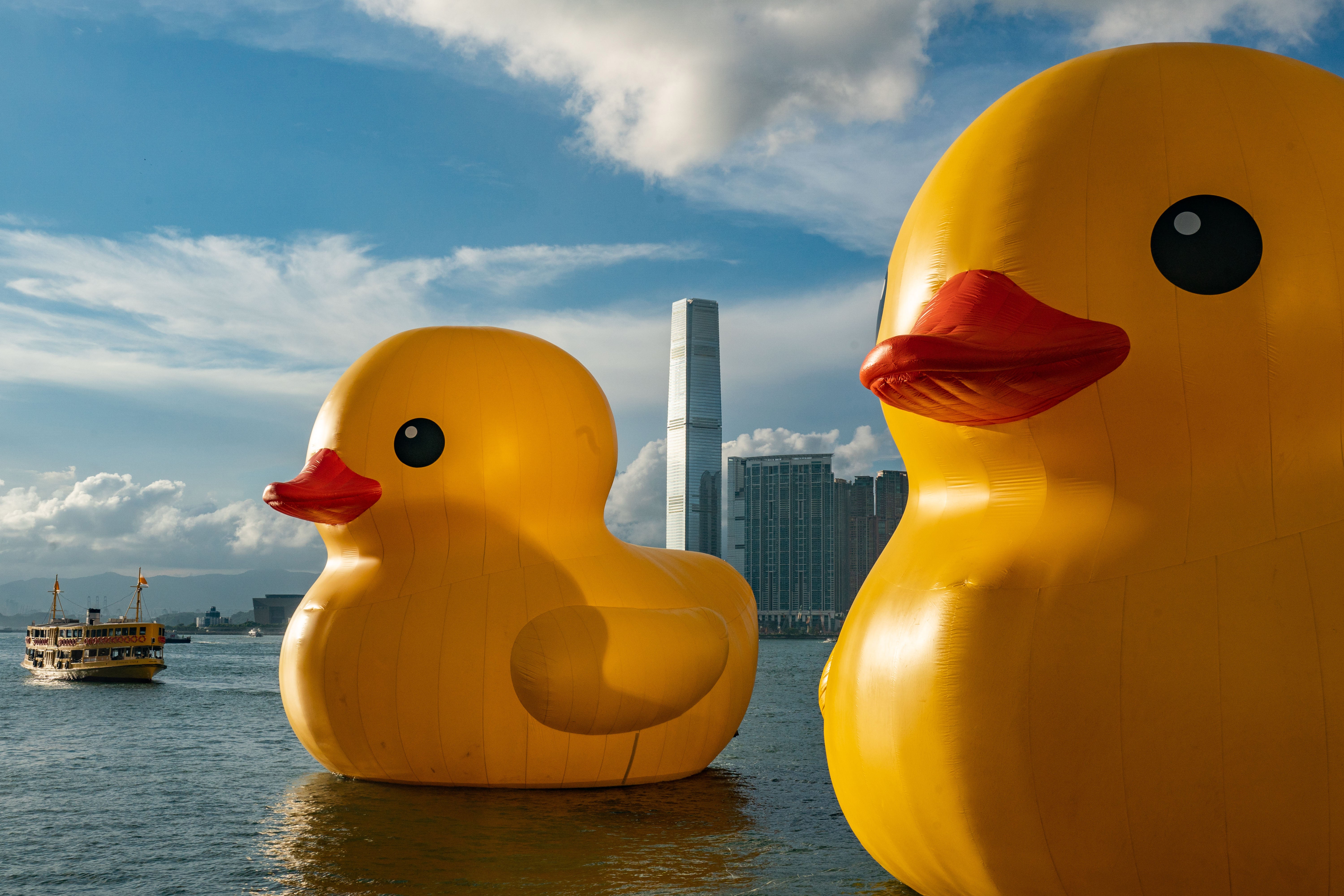 Giant inflatable rubber duck sculptures in Victoria Harbor, Hong Kong