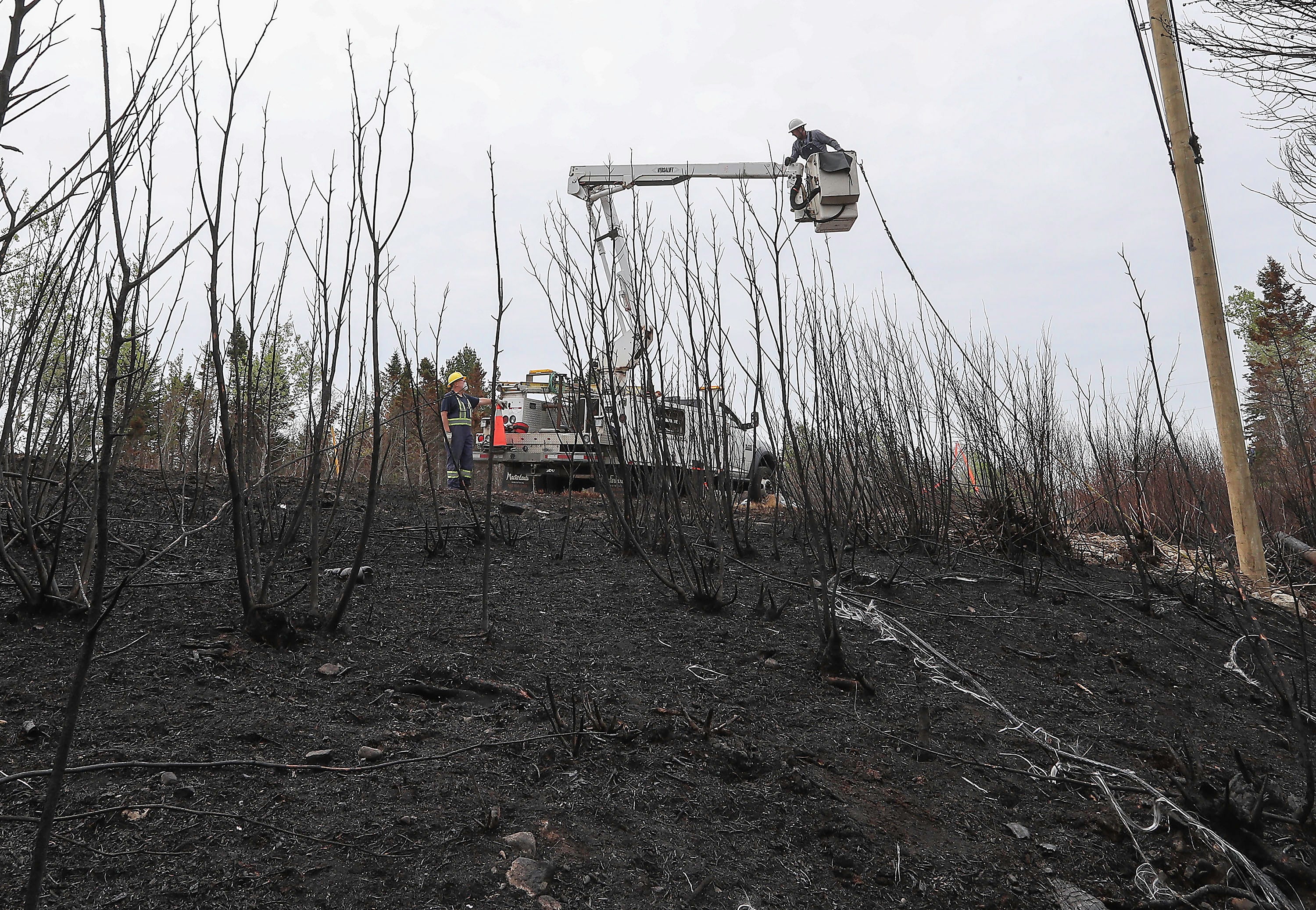 Utility workers replacing fiber optic lines following damage from the Barrington Lake Wildfire in Barrington, Nova Scotia on Thursday