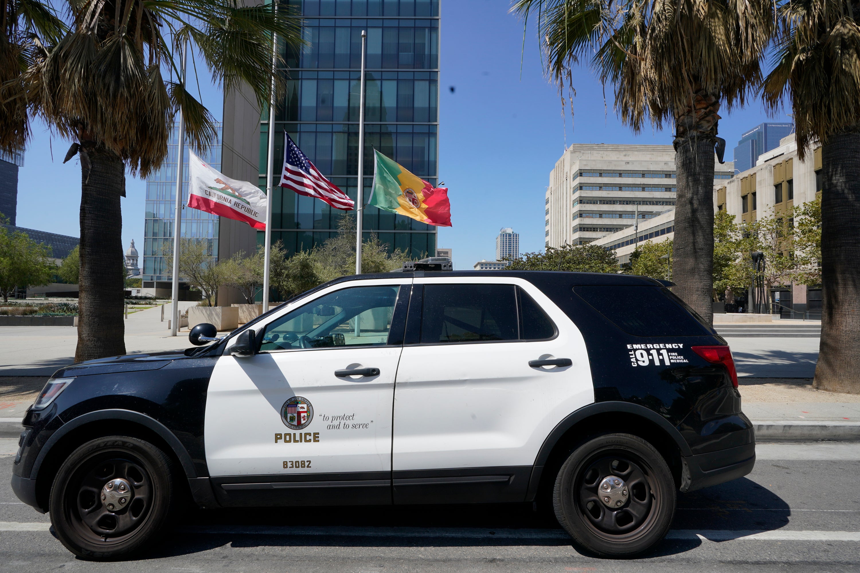 The LAPD and Los Angeles prosecutors have brought indictments against six individuals accused of operating a ‘crime tourism’ ring across Southern California and other locations in the US