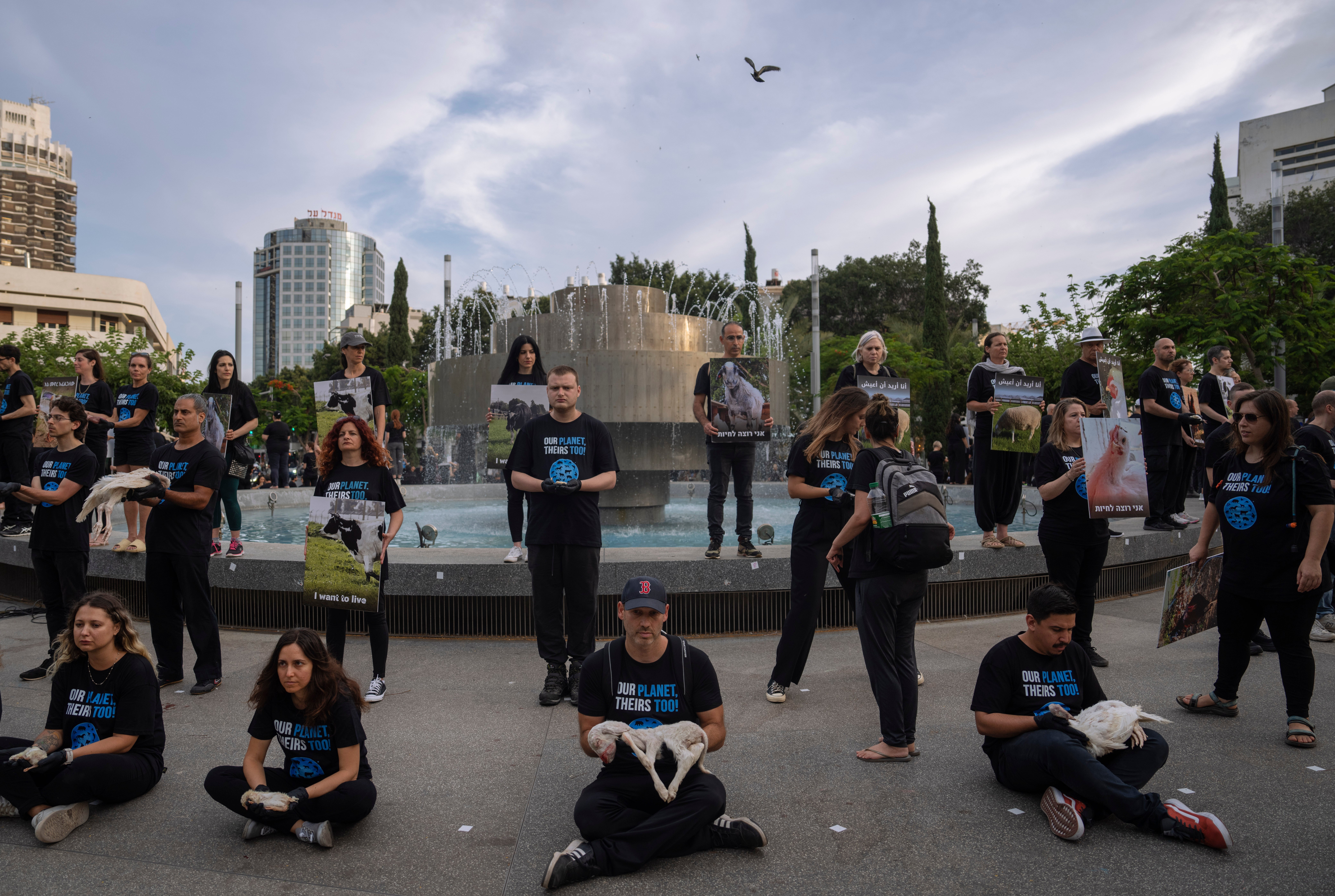 Pictures of the Week-Global-Photo Gallery