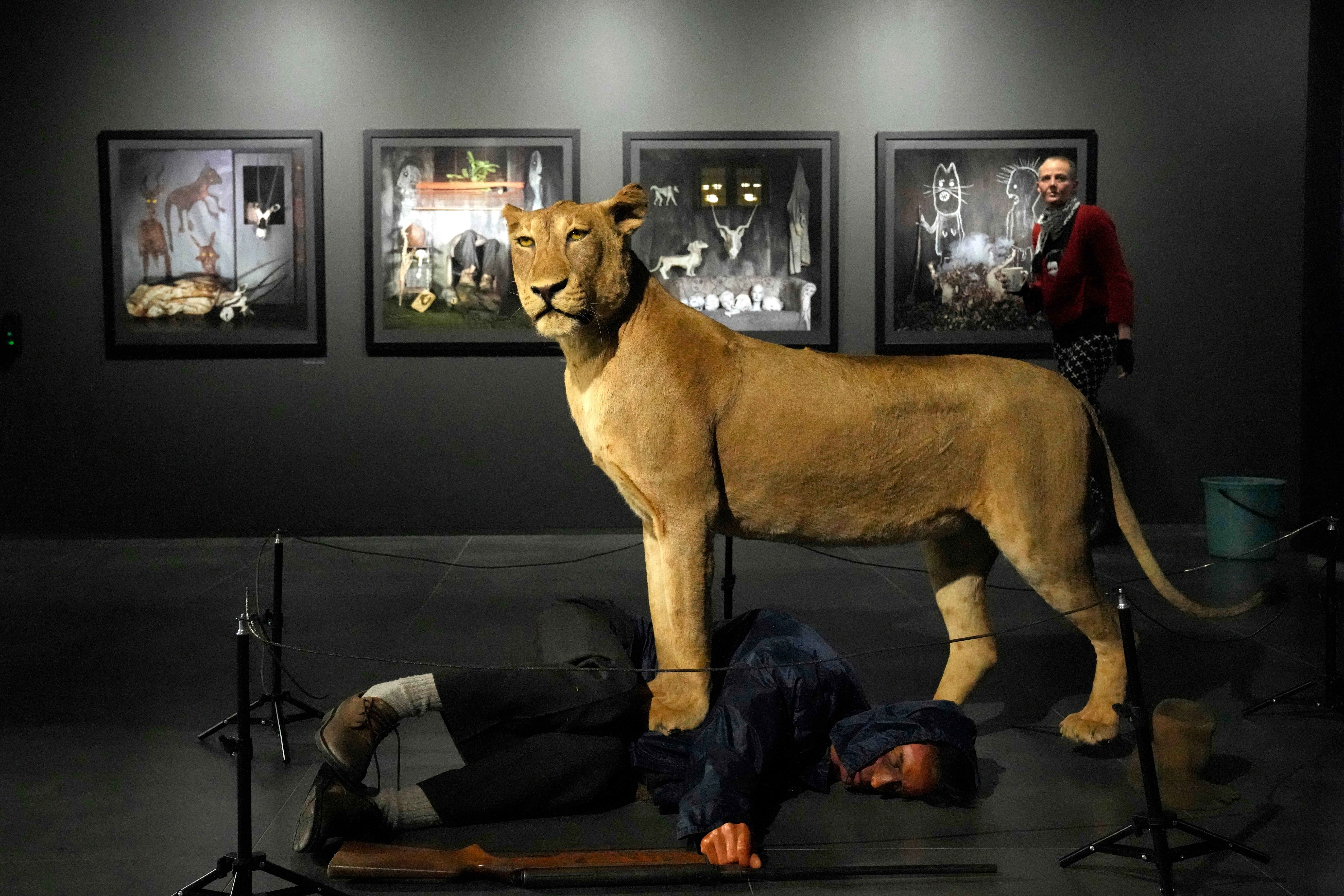 South Africa Wildlife Art Exhibit