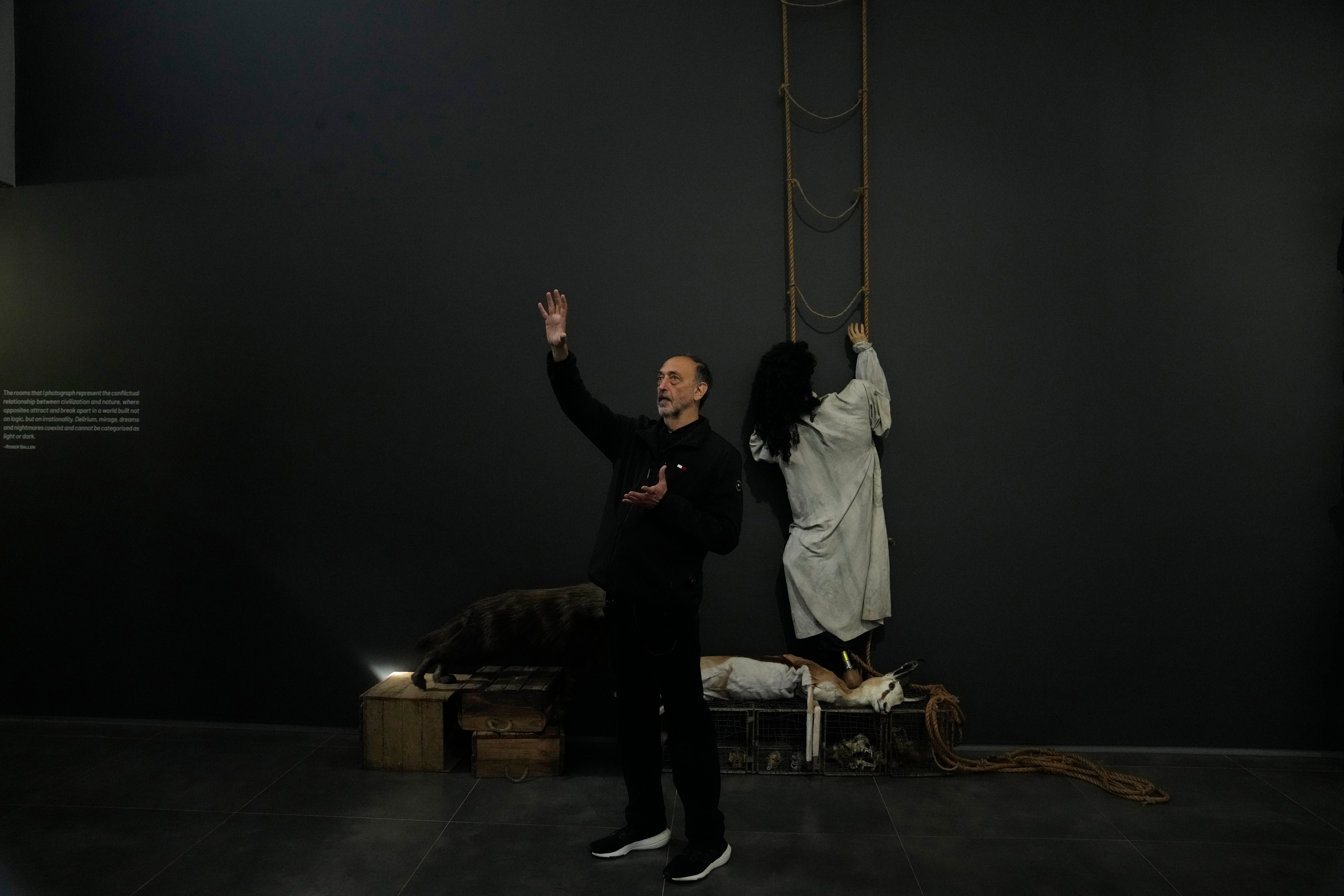 South Africa Wildlife Art Exhibit