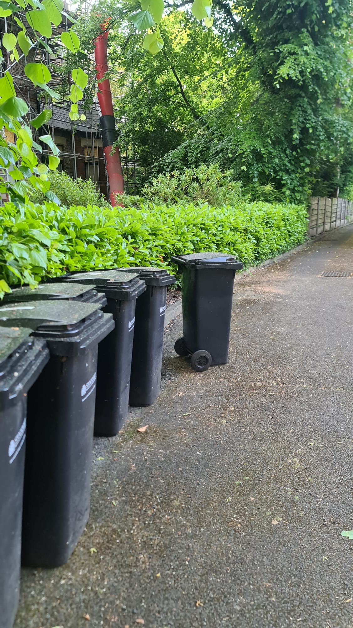 Josh said he returned the bin to ‘roughly’ where it was before when he went to look for the Buddha