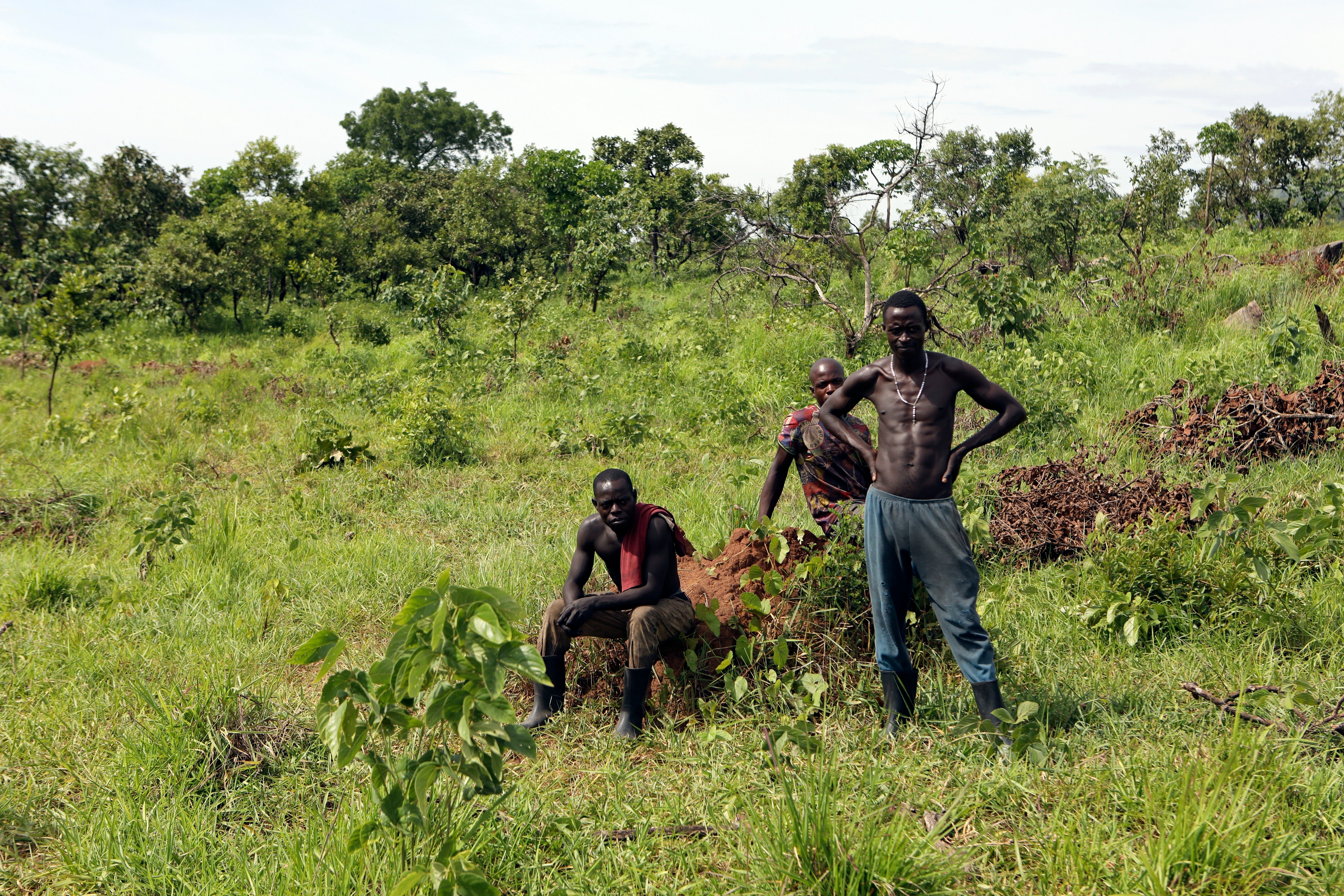 Climate Uganda Charcoal