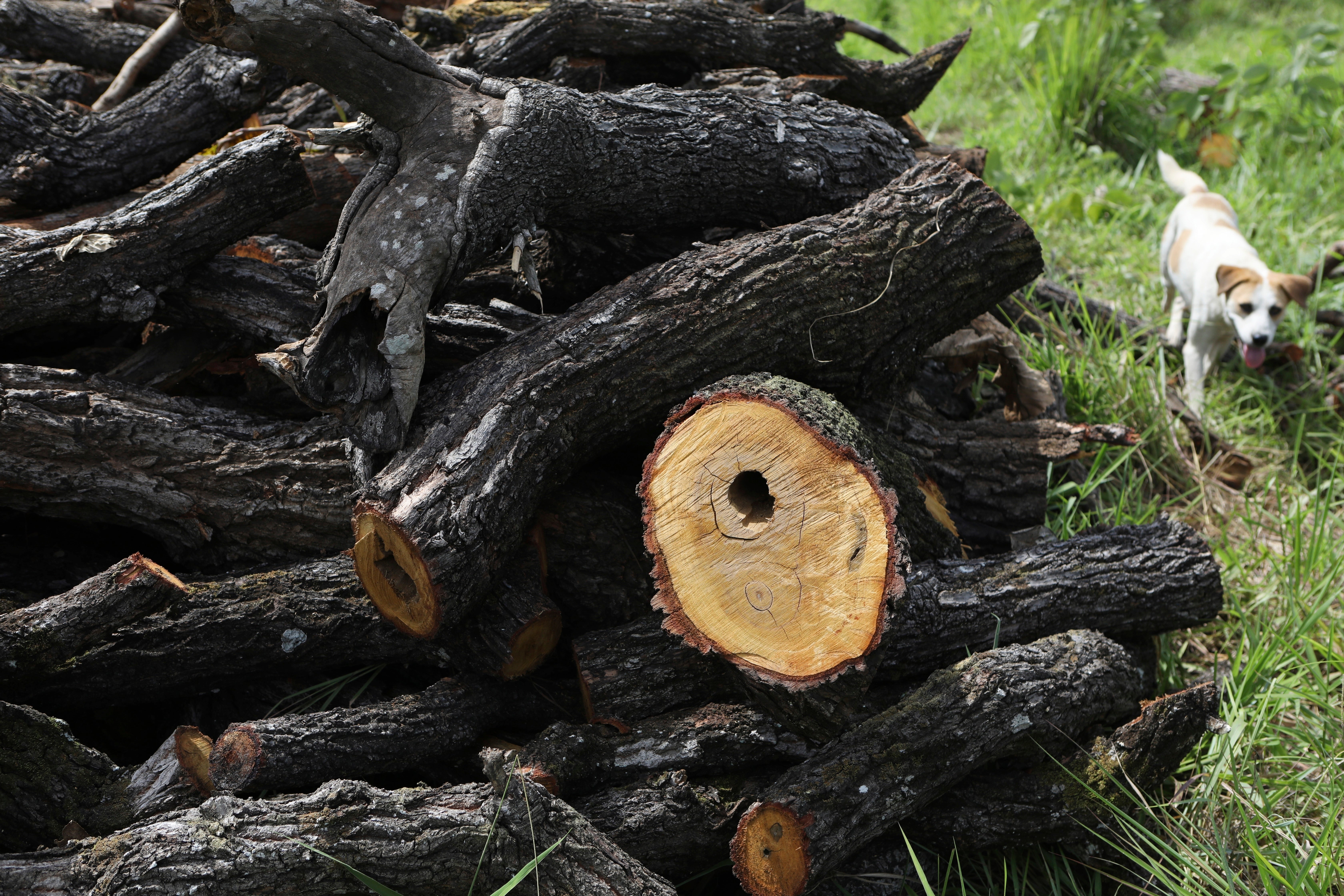 Climate Uganda Charcoal