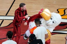 Calls for Conor McGregor to be investigated after violent punch hospitalised Miami Heat mascot