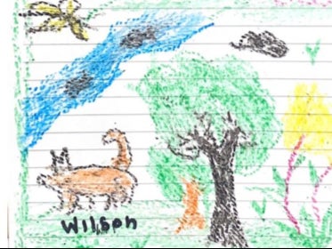 From their hospital bed, the children have drawn images of their journey through the jungle, including one in which Wilson was featured