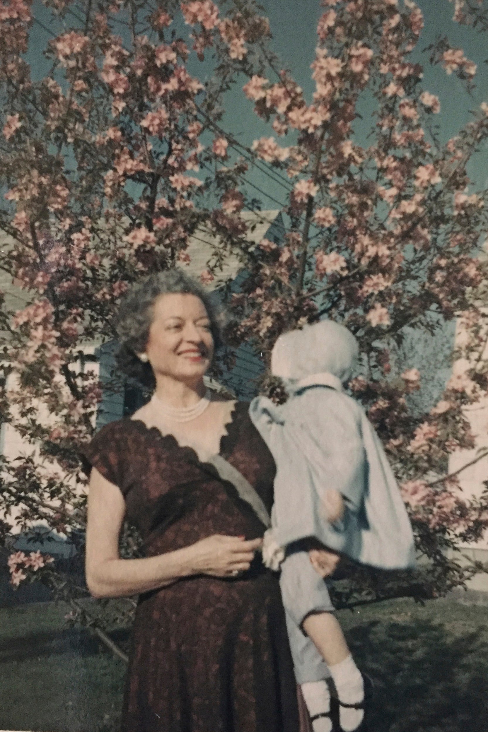 Garment Bag Remains Nevada