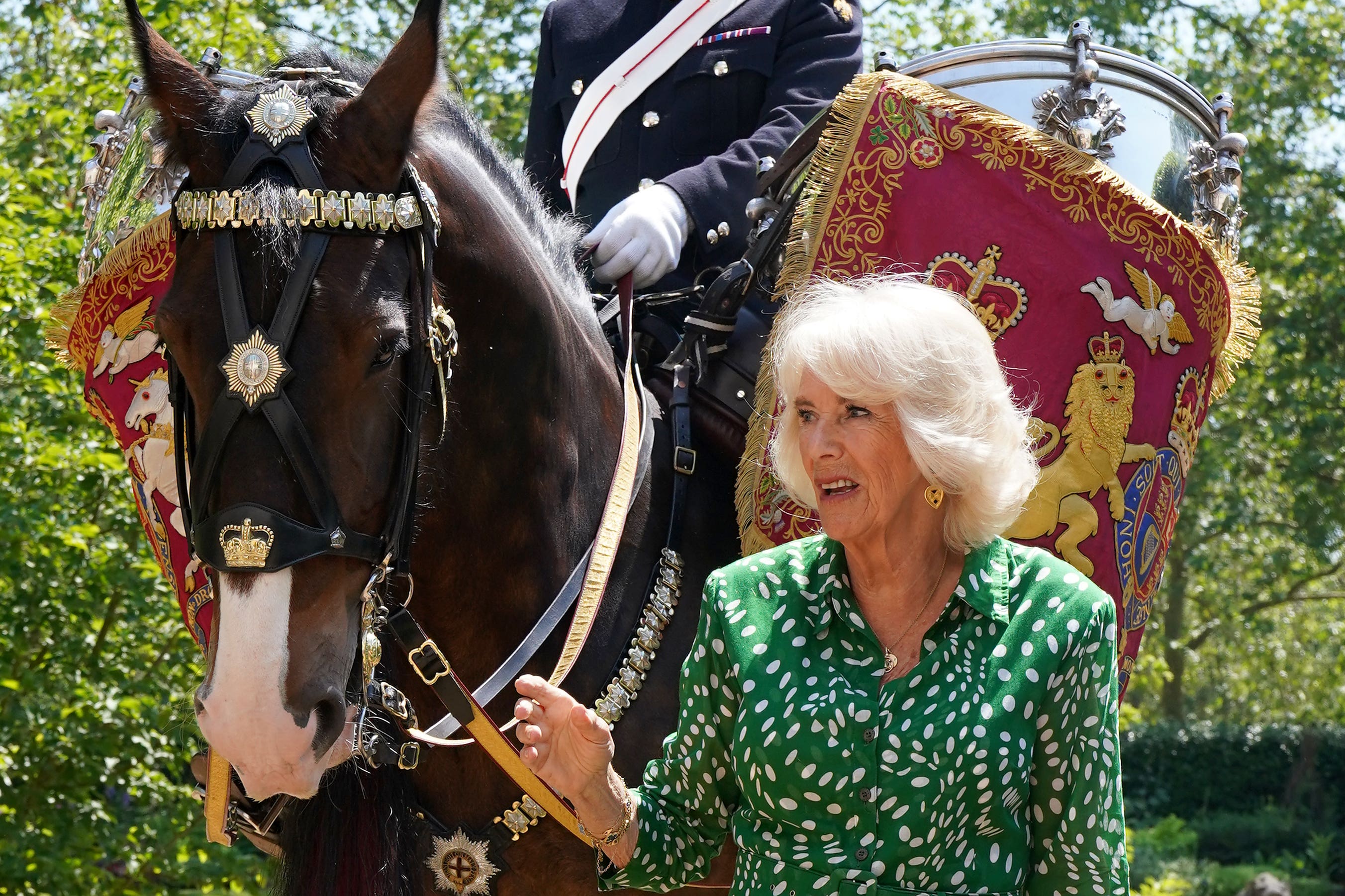 Queen Camilla names the new Household Cavalry Drum Horse Juno ridden by Sergeant Major Daniel Evans (Gareth Fuller/PA)