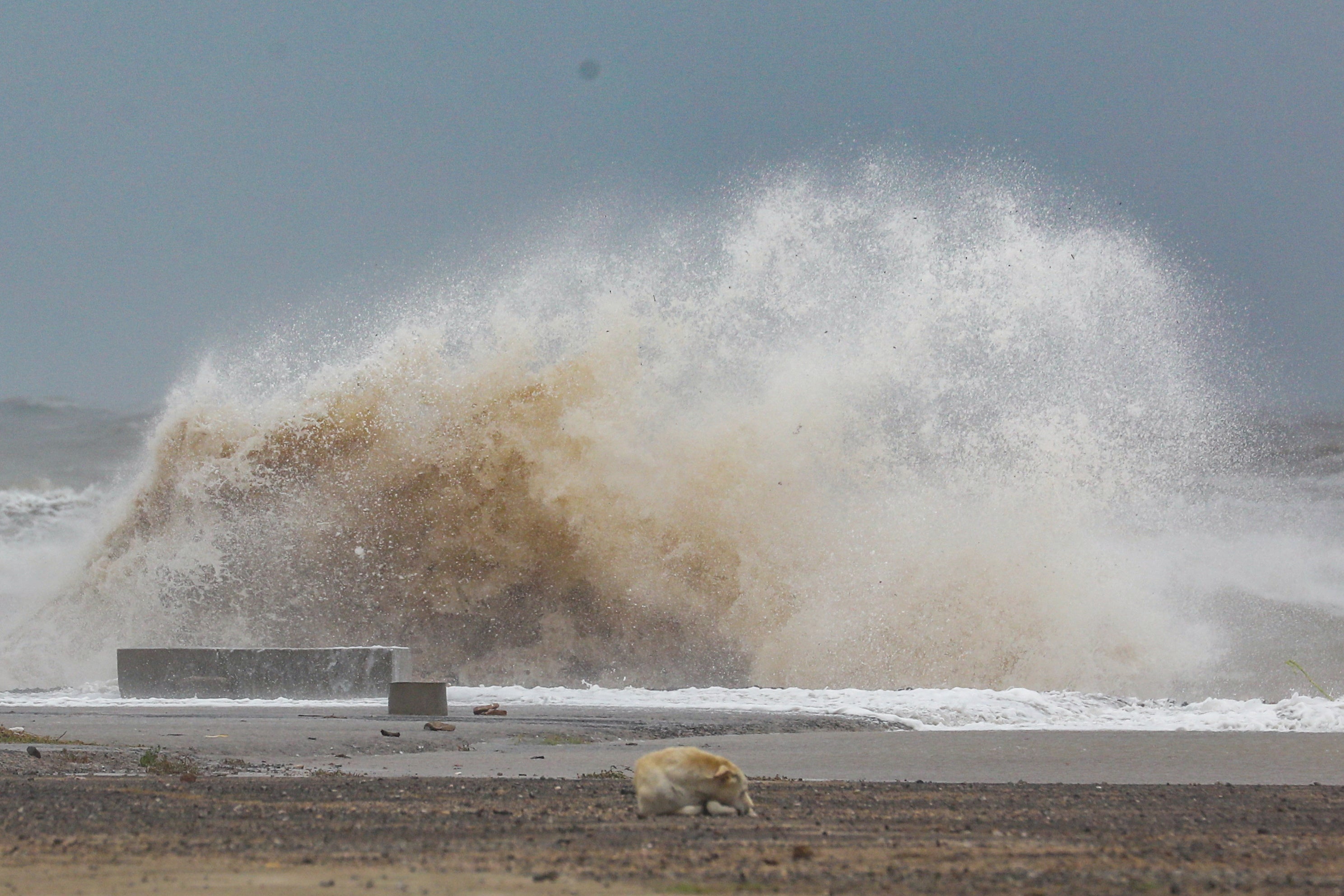 High tide in Mandvi, in the Kutch district of the western state of Gujarat