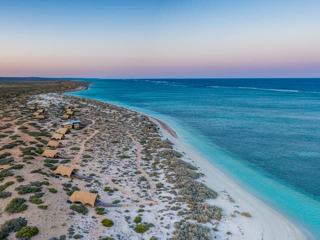 <p>Hot sand on toes in Cape Range National Park</p>