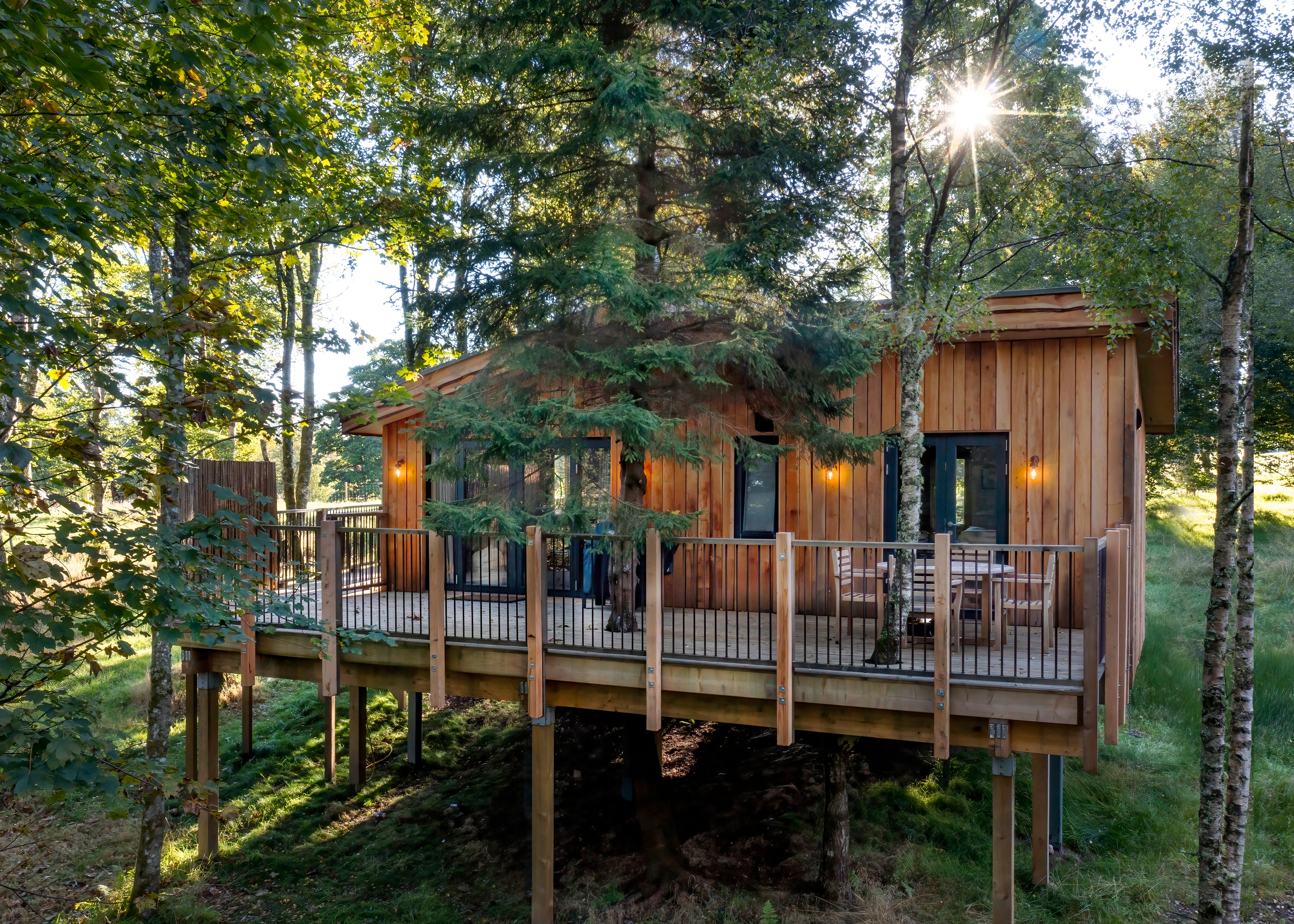 A front view of the Pipit treehouse