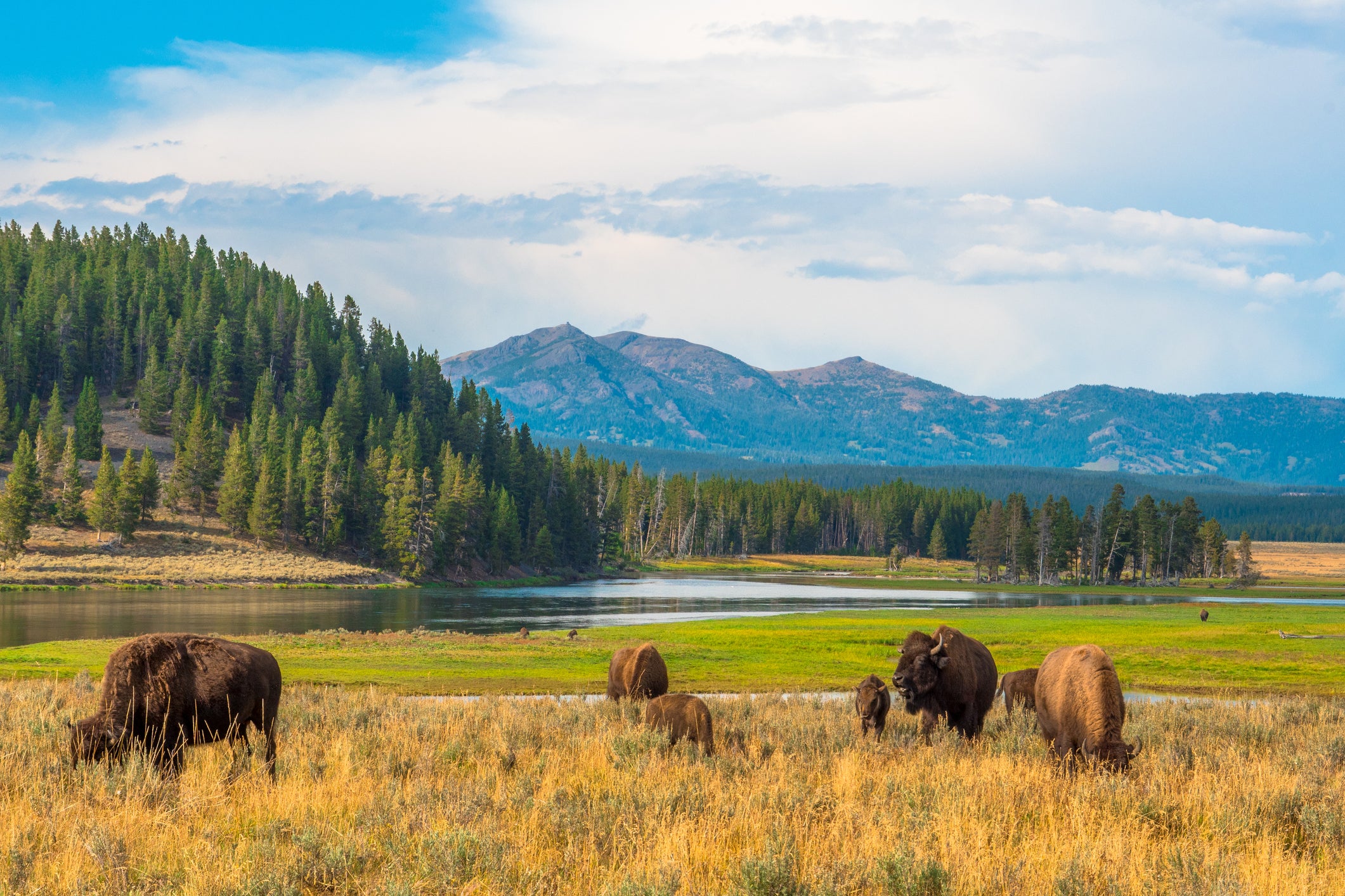 Yellowstone National Park, Wyoming