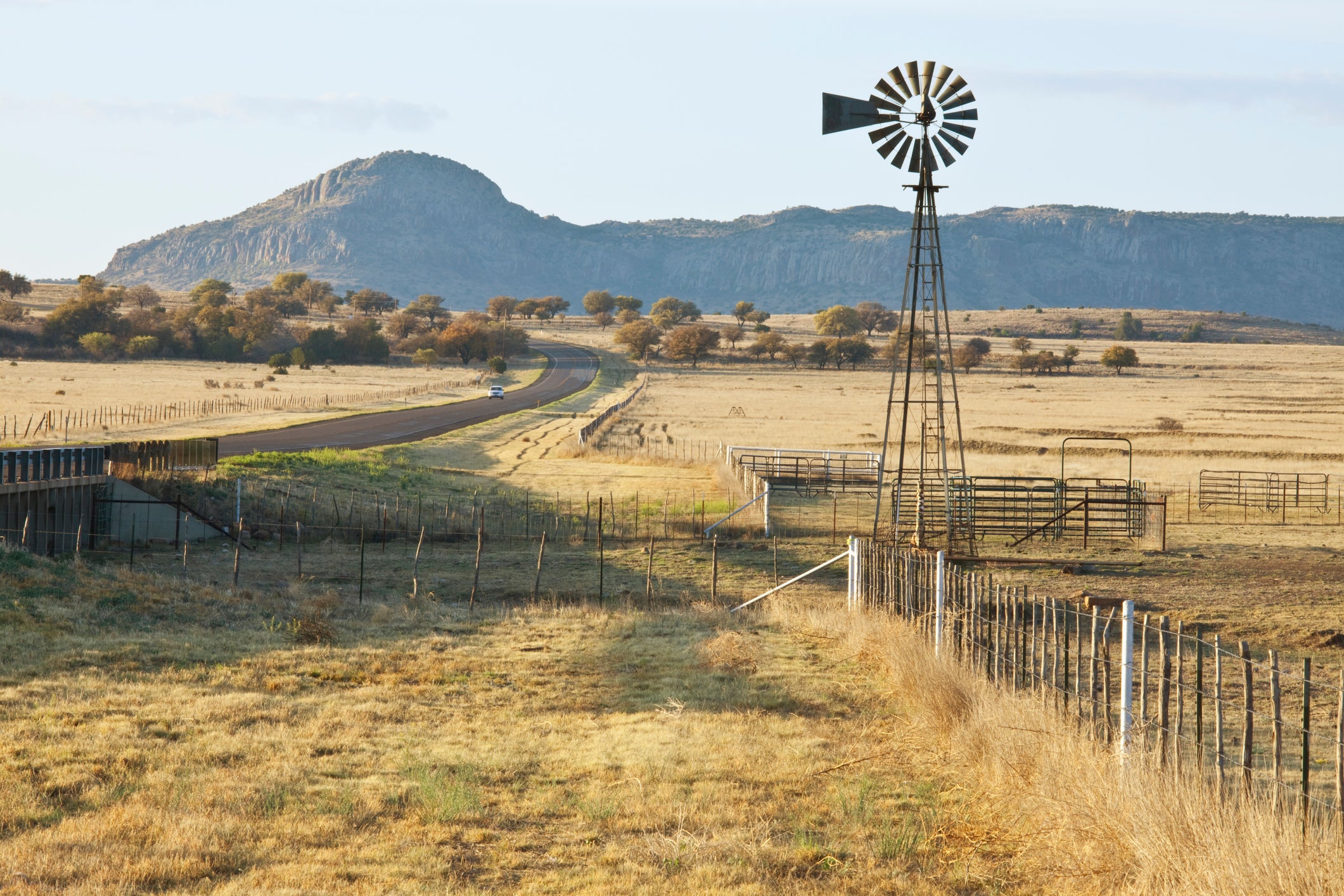 The Lone Star State is home to vast ranches and vibrant cities