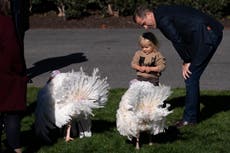 Hunter Biden reaches deal with Justice Department to plead guilty to three federal charges