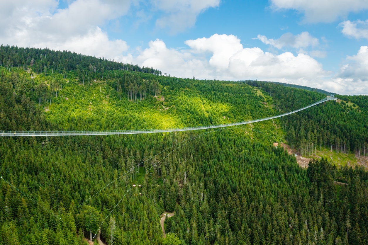 Sky Bridge 721 opened in May 2022