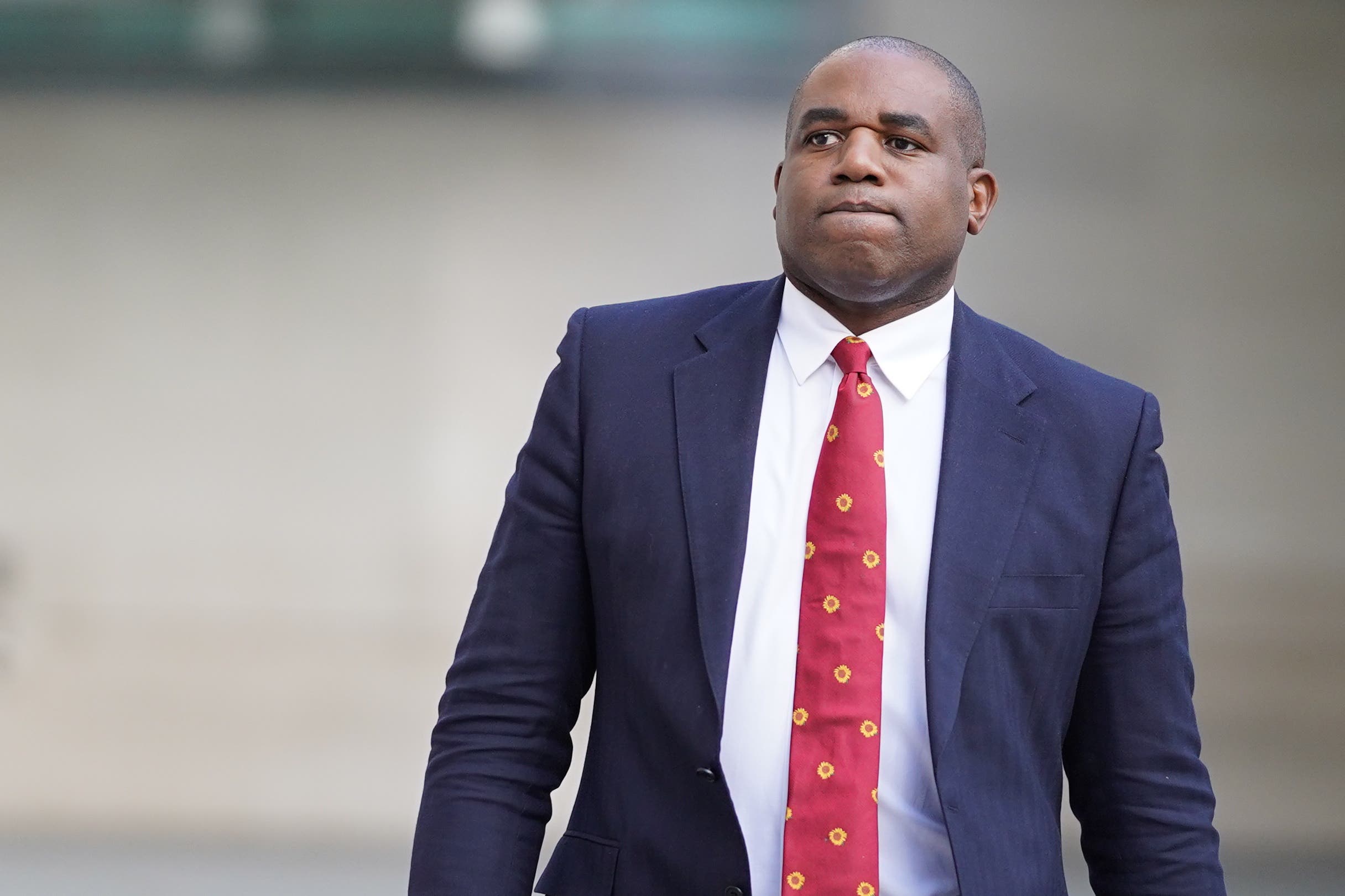 Shadow foreign secretary David Lammy (Stefan Rousseau/PA)