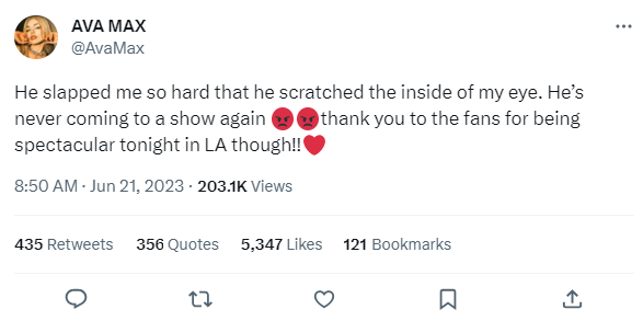 Ava Max's tweet about the slapping incident