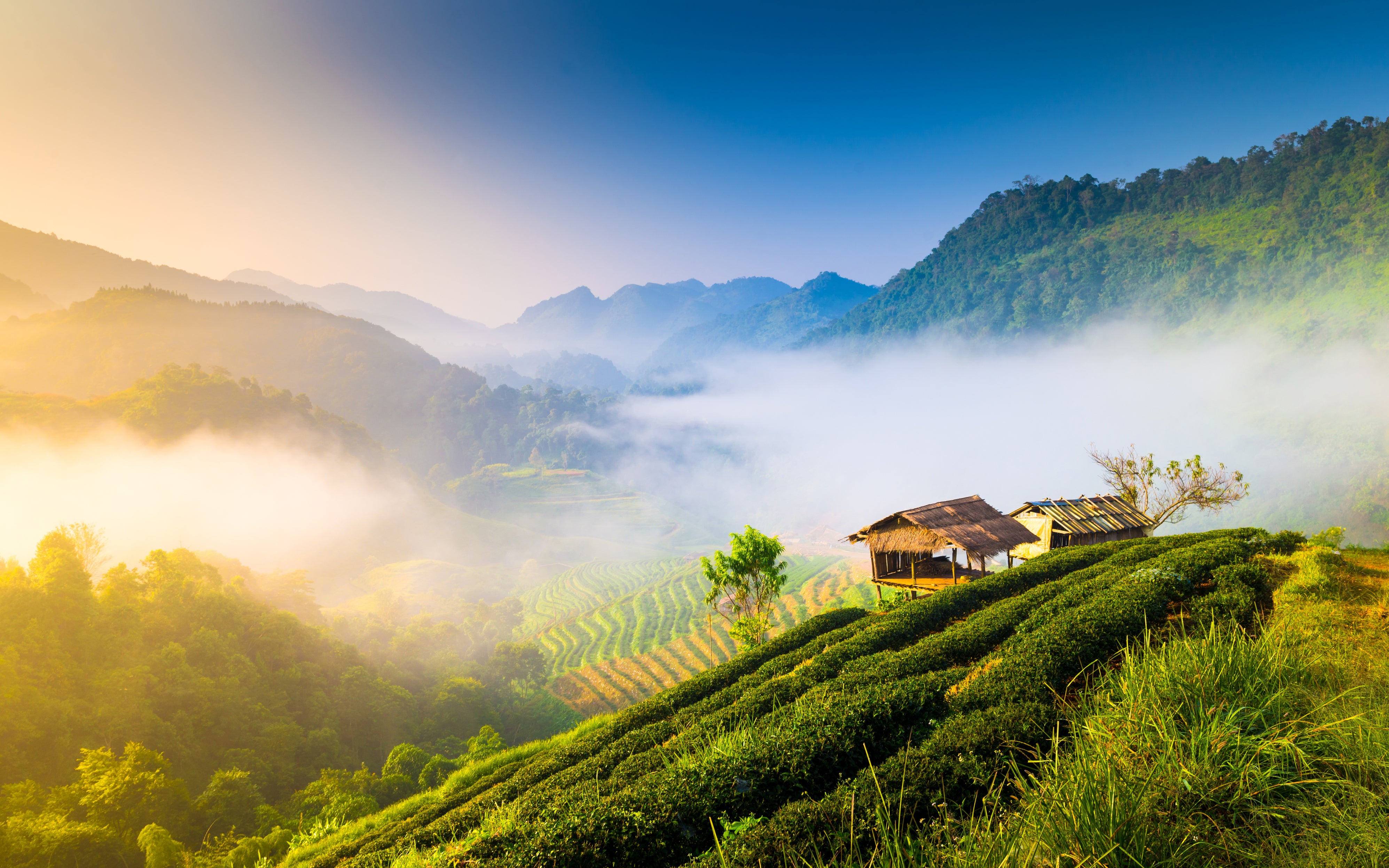 Thailand’s tropical climate is strongest in the north