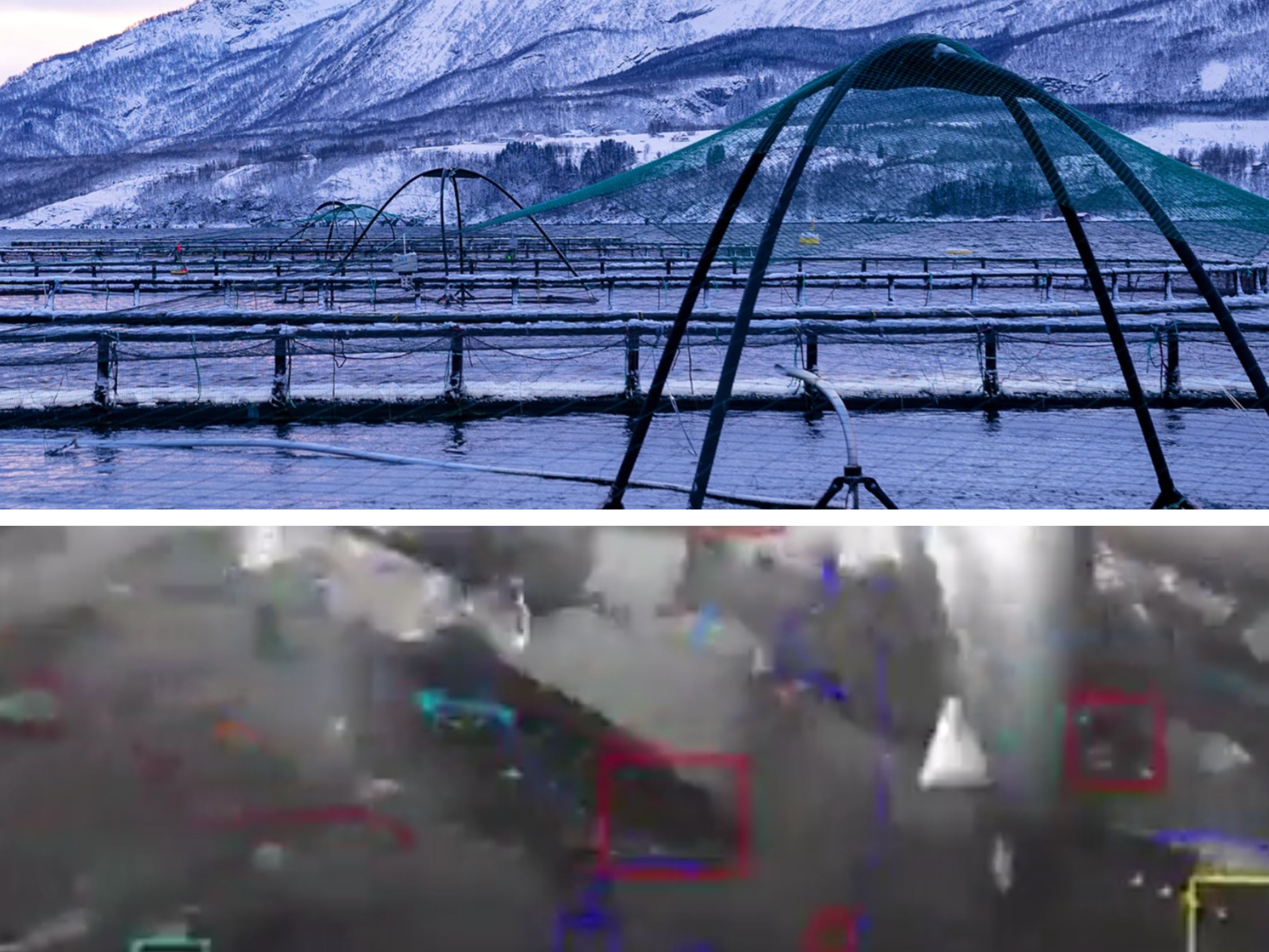 Top: Aquaculture pens in Norway. Below: Tidal’s underwater camera system and machine perception tools at work capturing fish behaviors