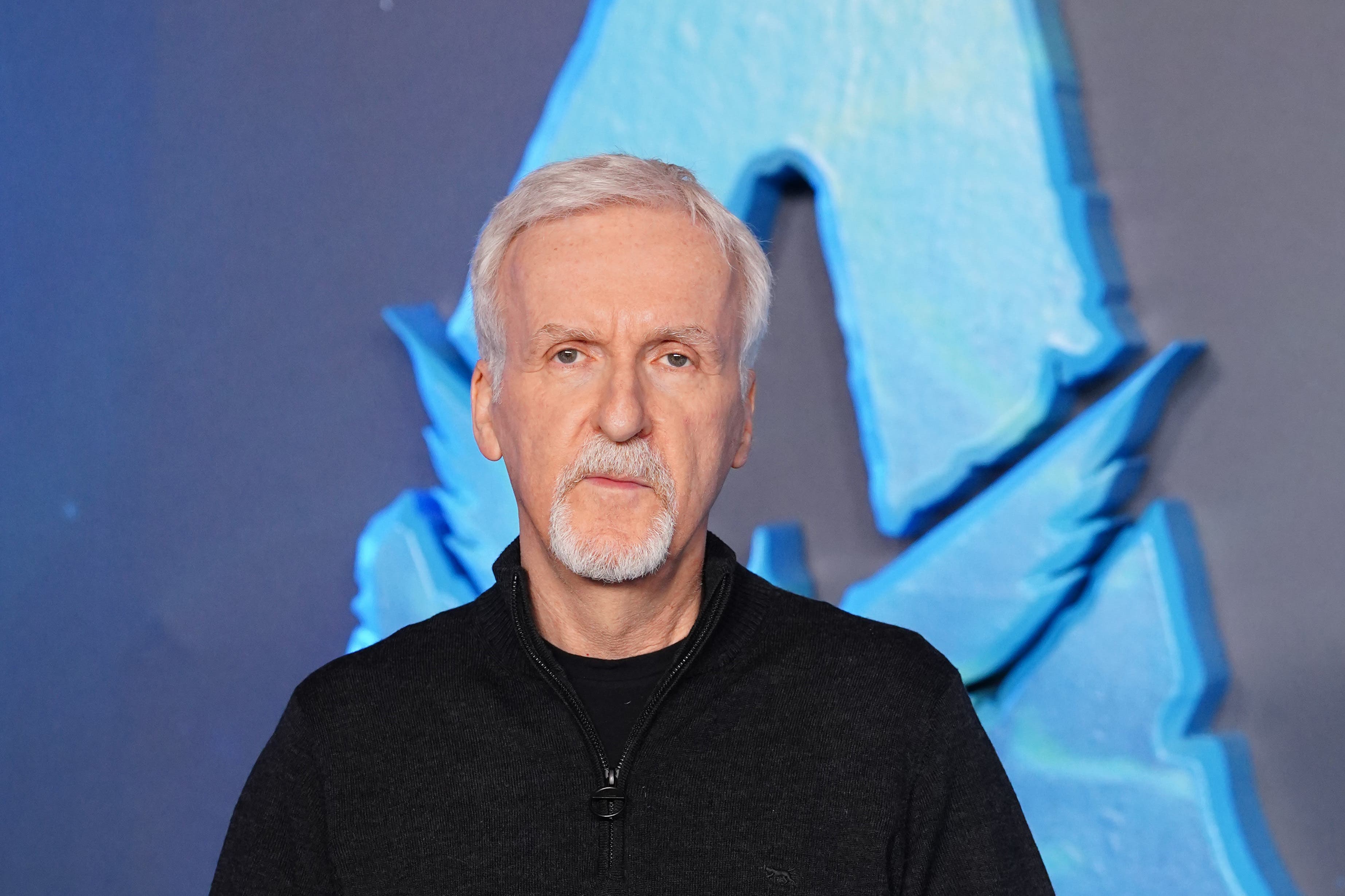 James Cameron said regulations should be put in place for passenger vessels after Titan disaster