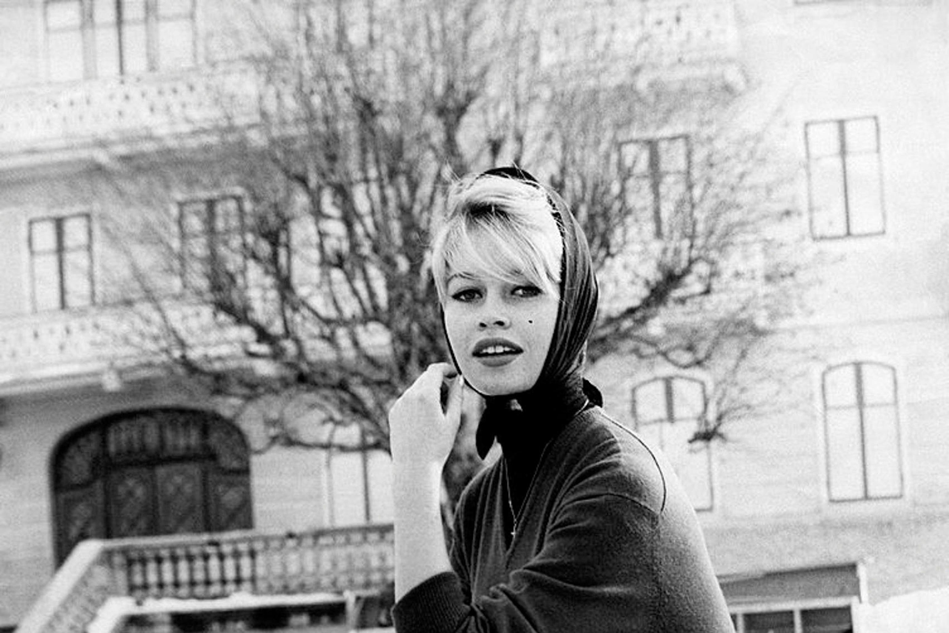 Brigitte Bardot was a French beauty icon (Alamy/PA)