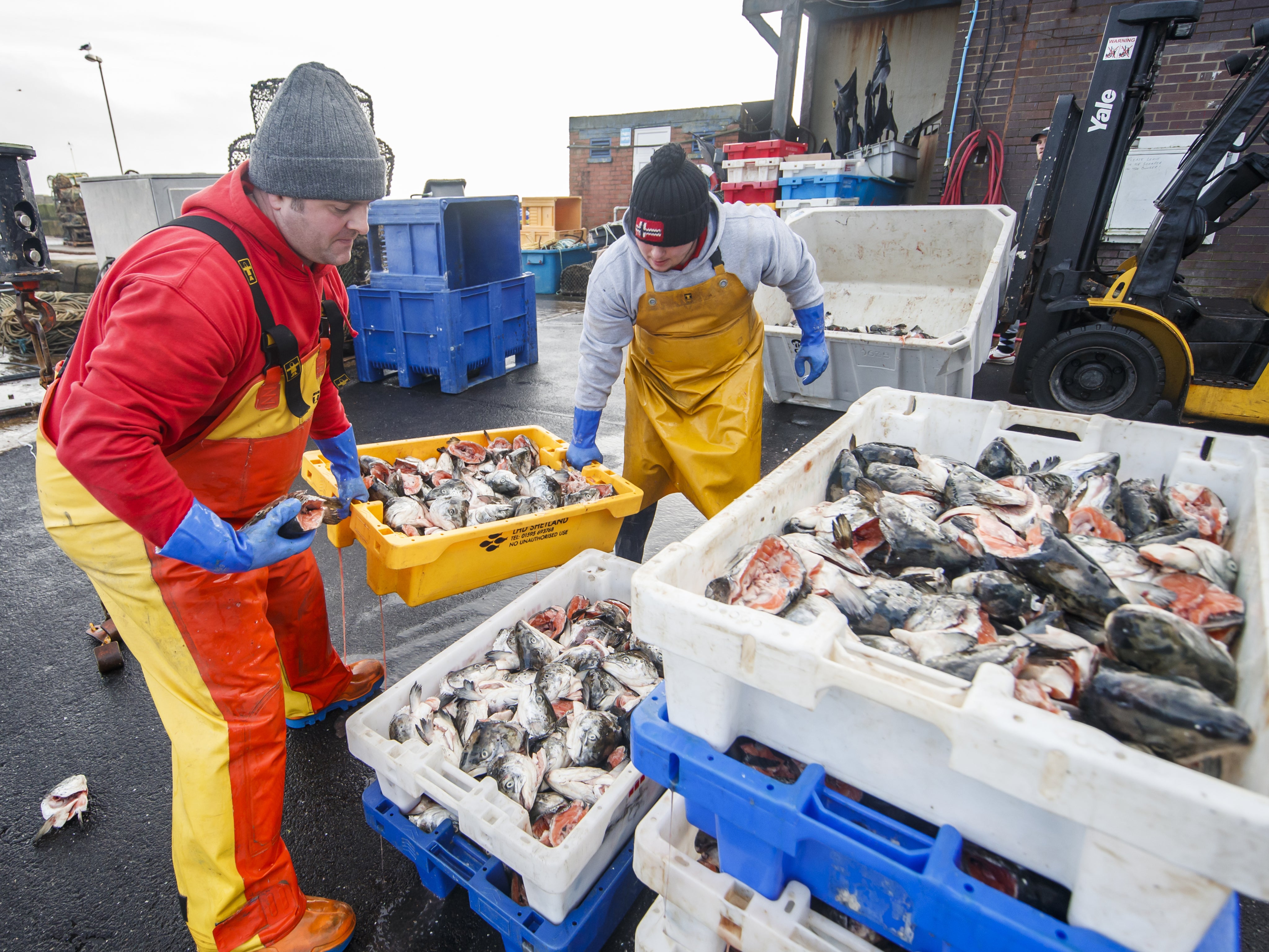 File image: The analysis showed that consumption patterns and trade matter as much as where fish are caught.
