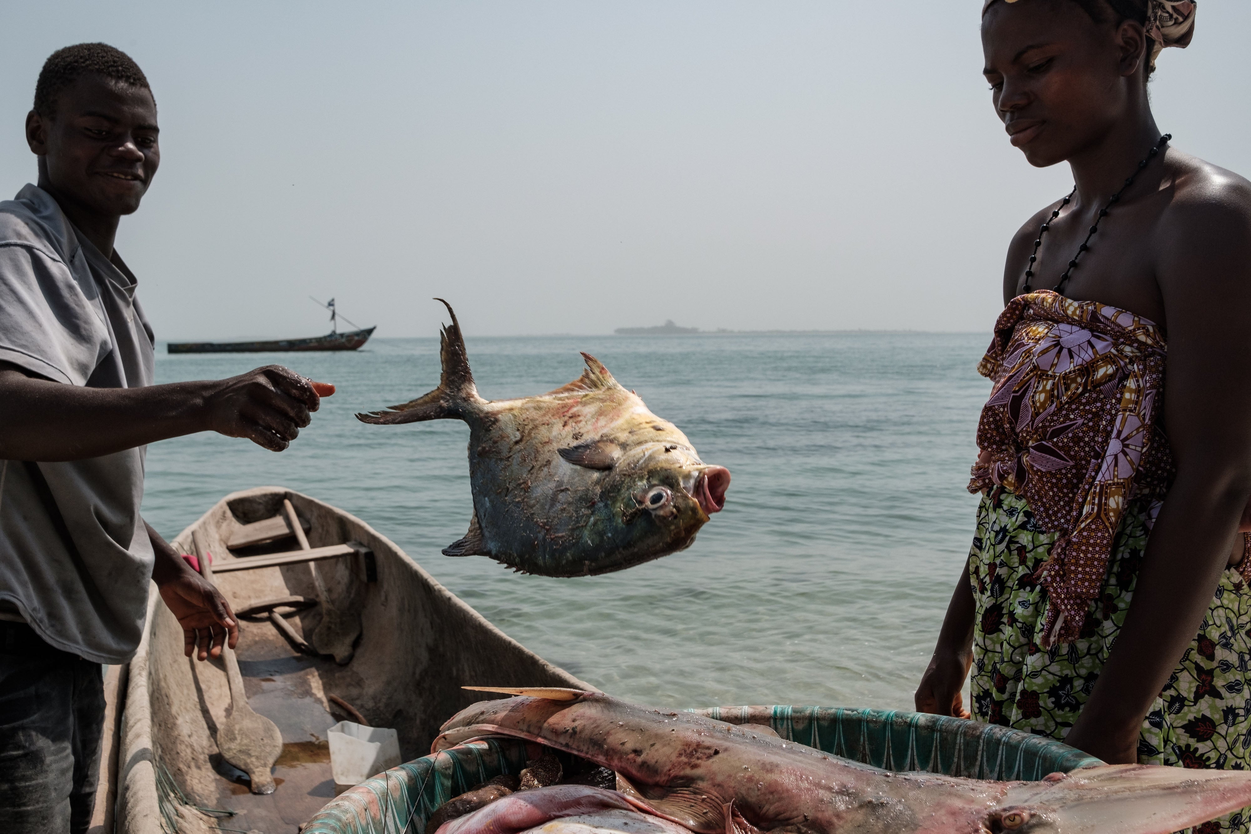 A fisherman throws a fish out of his boat into a basket on Sei island where the local community has been actively protecting its seagrass