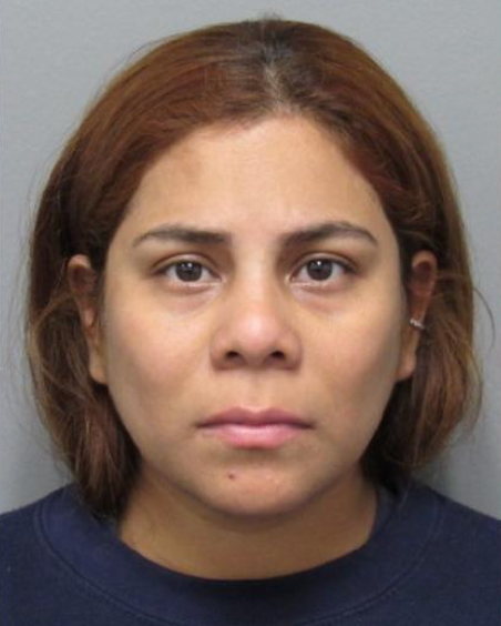 Investigators stated in an affidavit obtained Kristel Candelario was vacationing in Puerto Rico and Detroit during the time that her baby was left on her own