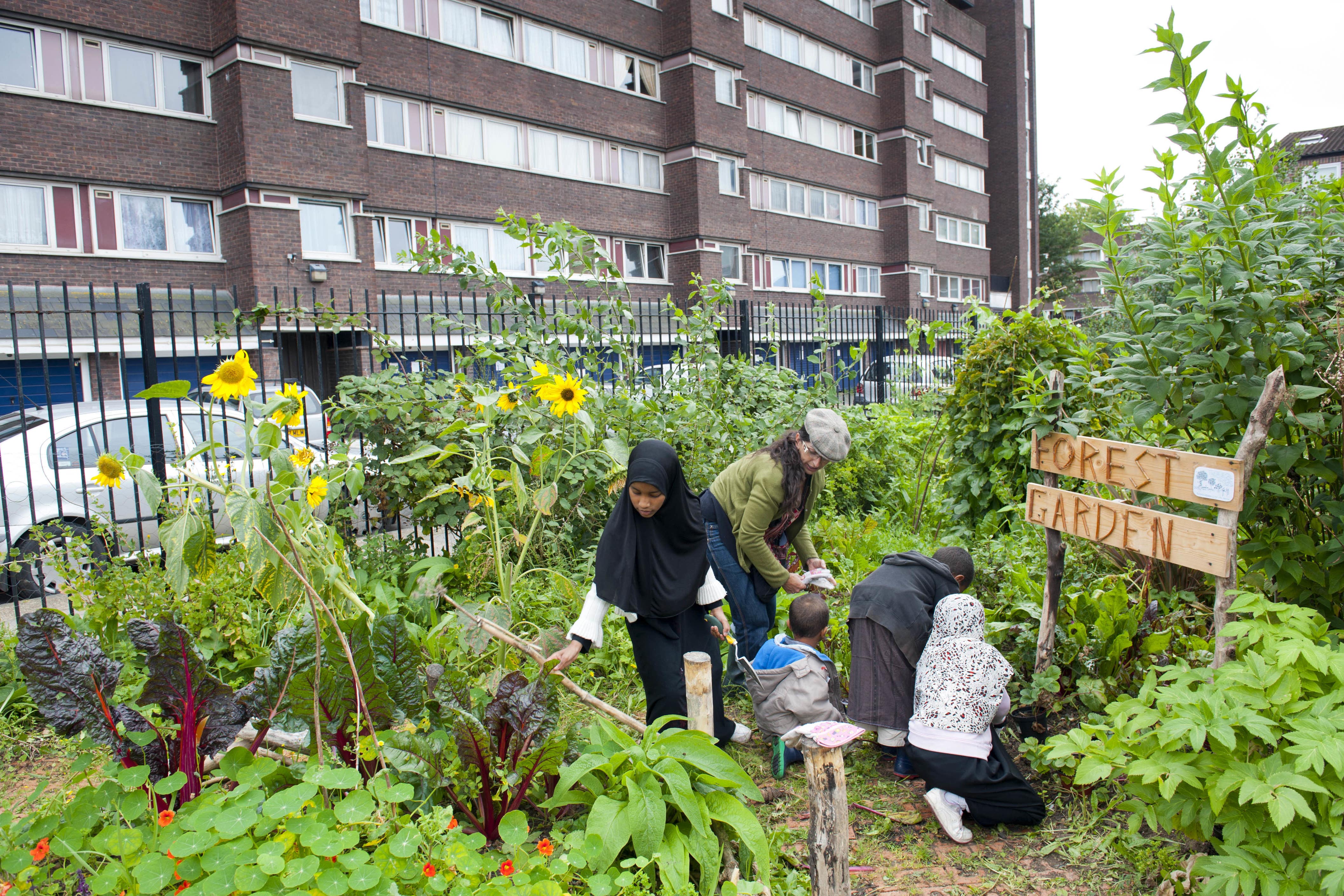 Volunteers in the Evelyn community gardens in Deptford, London (Paul Harris/2020VISION/PA)