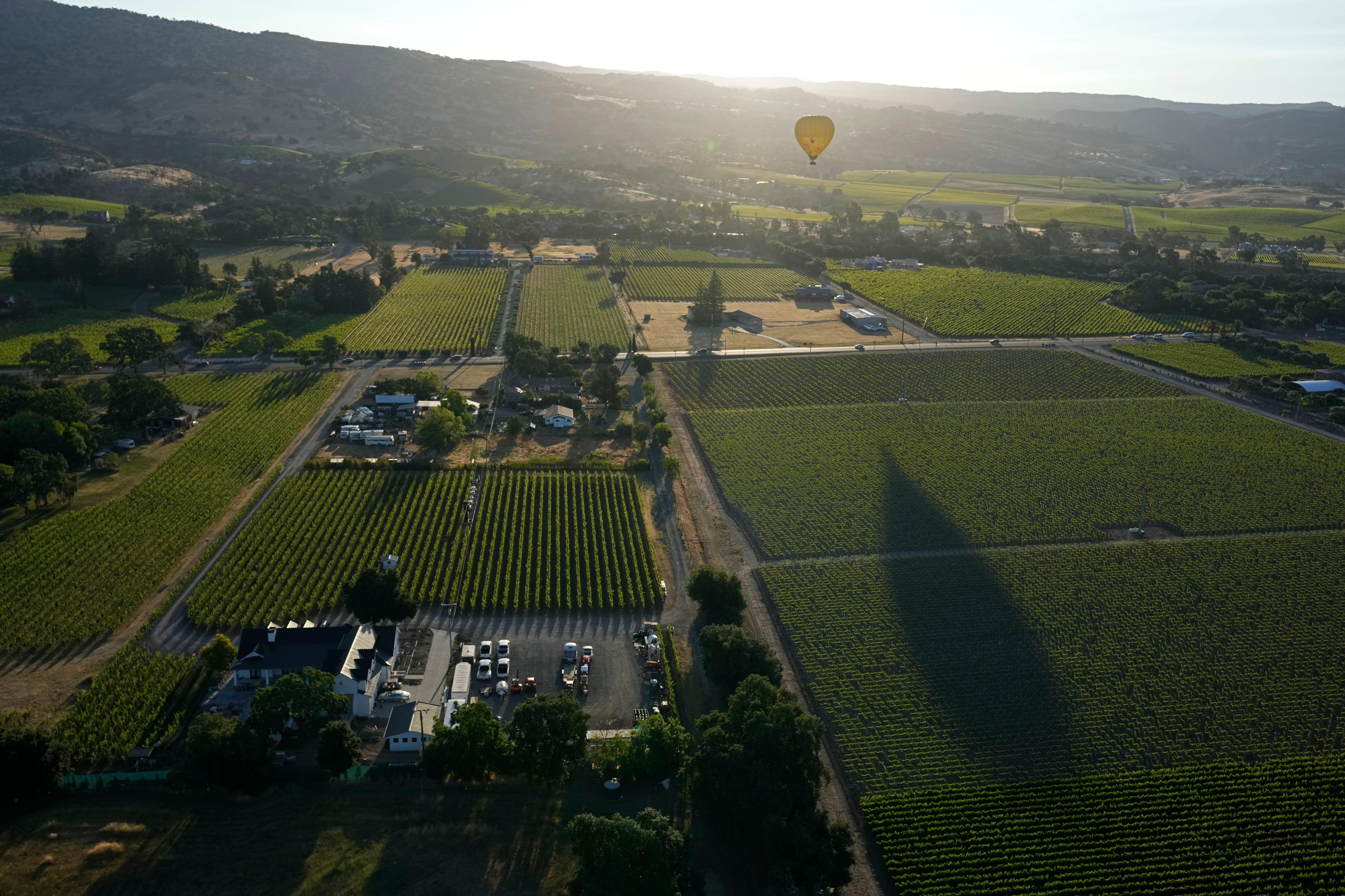 APTOPIX California Wine From Above Photo Gallery