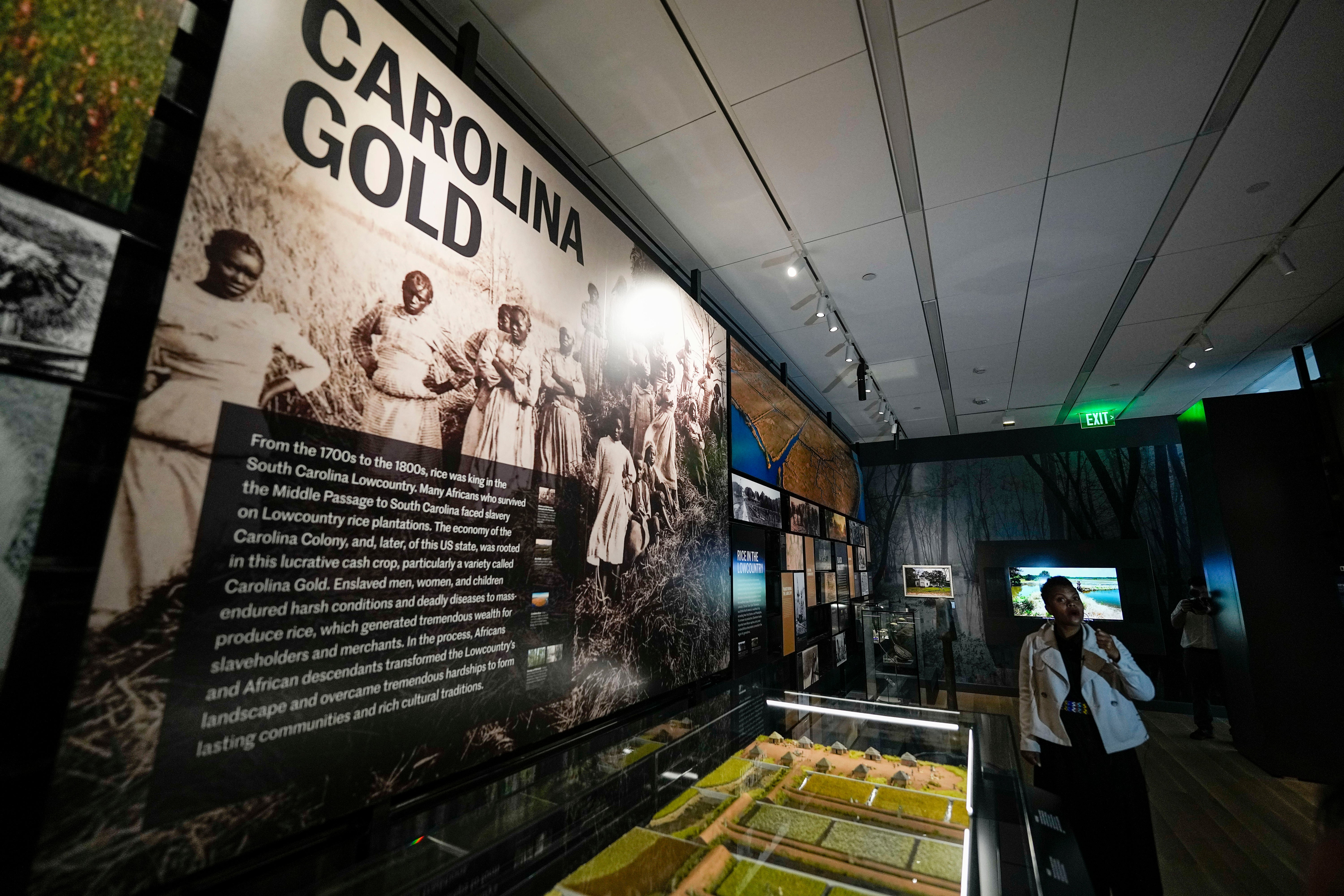 African American Museum Opening